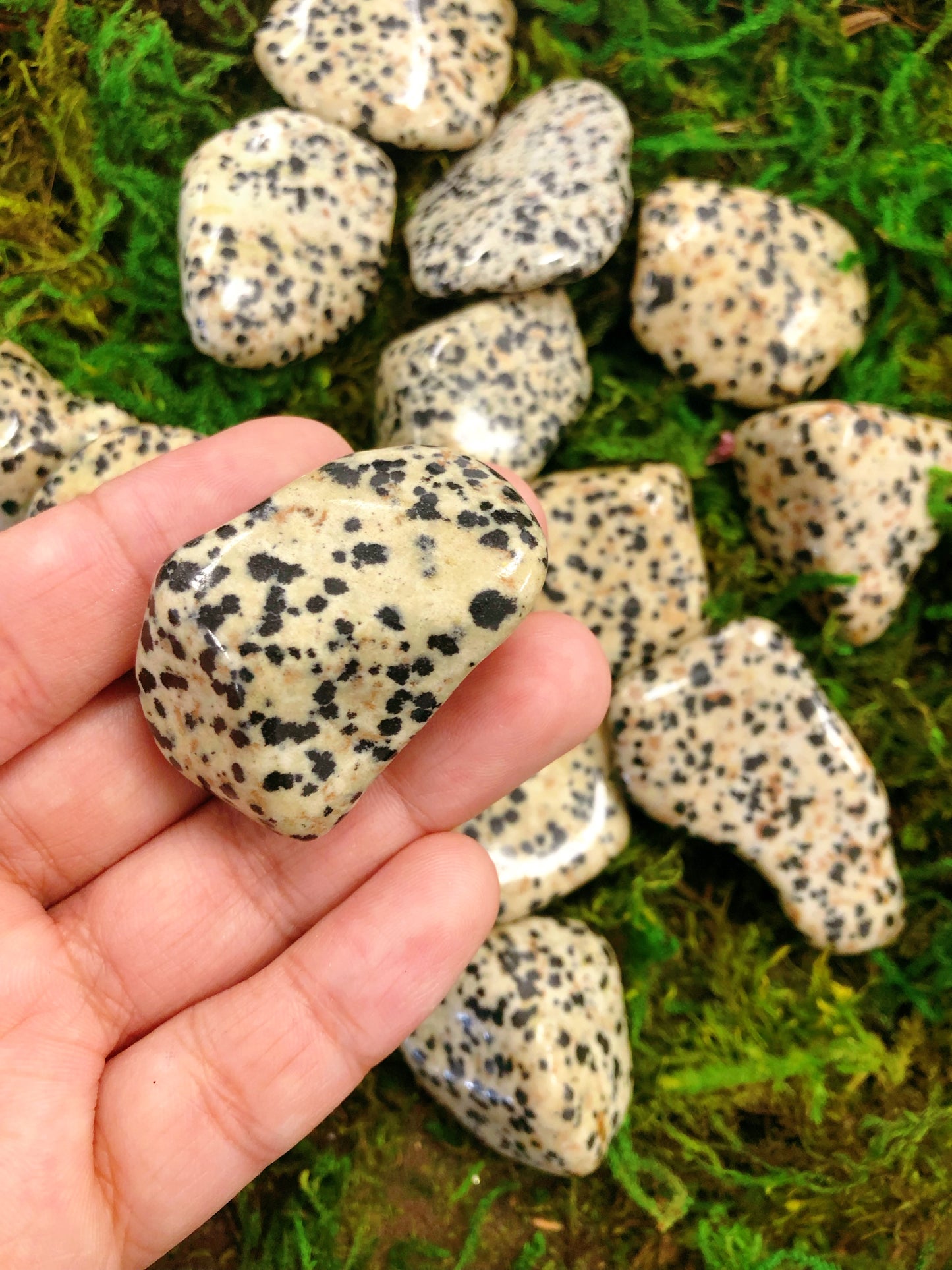 Dalmatian Jasper Tumbled
