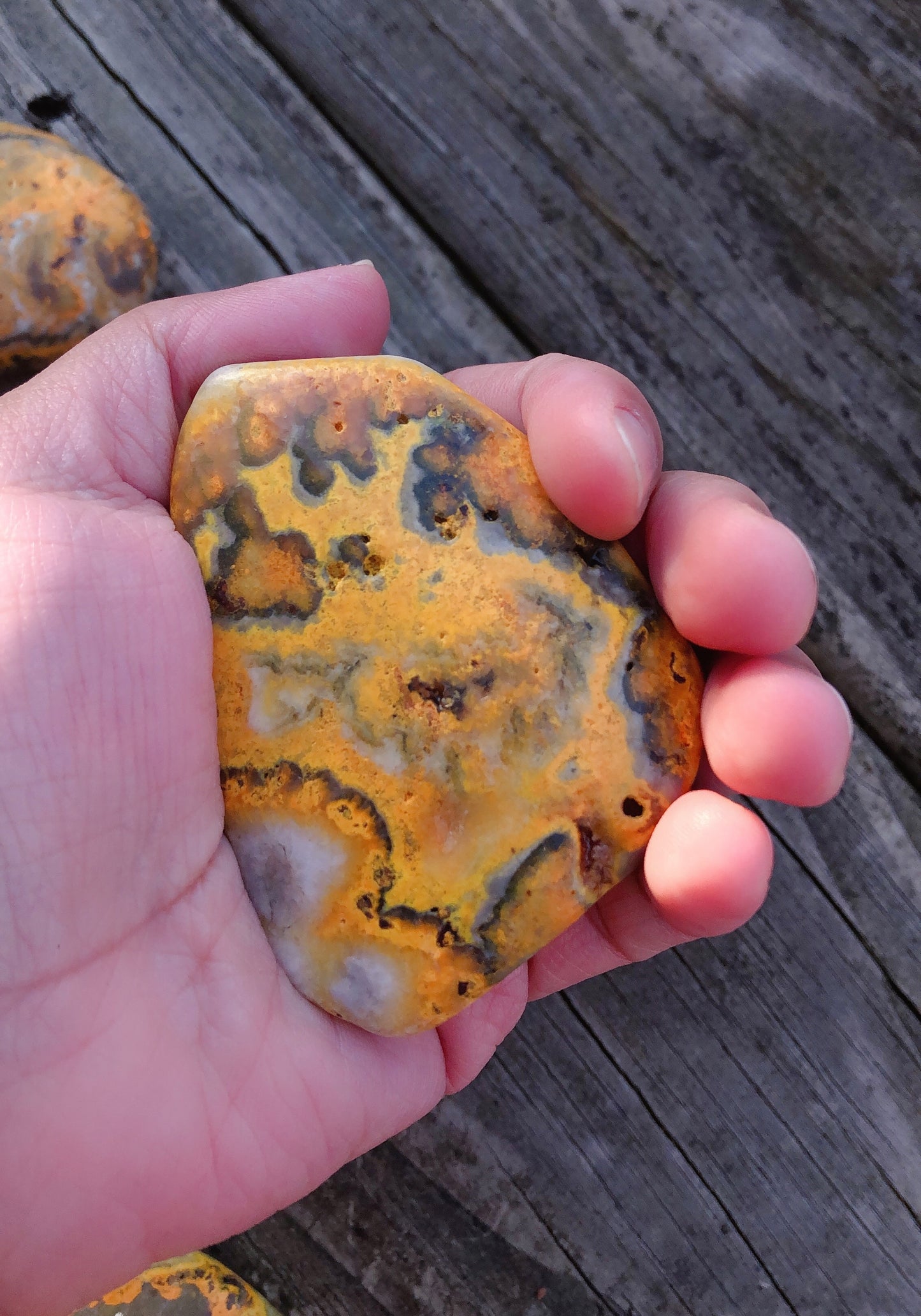 BumbleBee Jasper