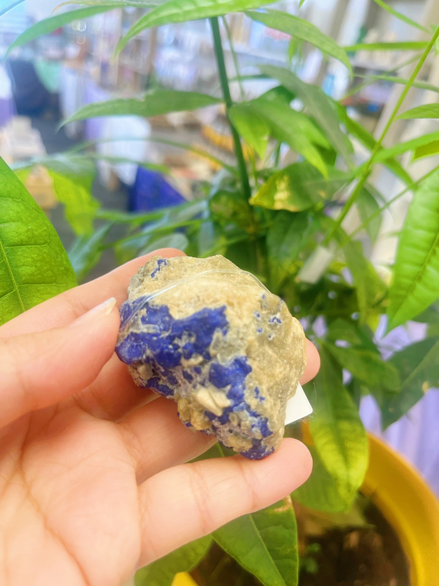 Lazurite Specimen