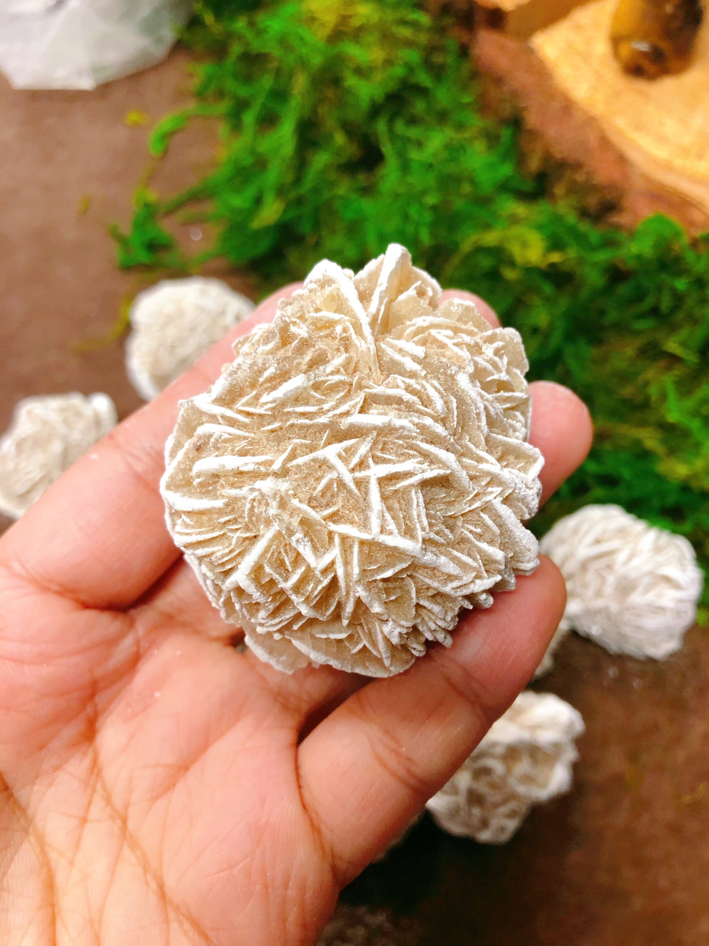 Deserts Rose Selenite