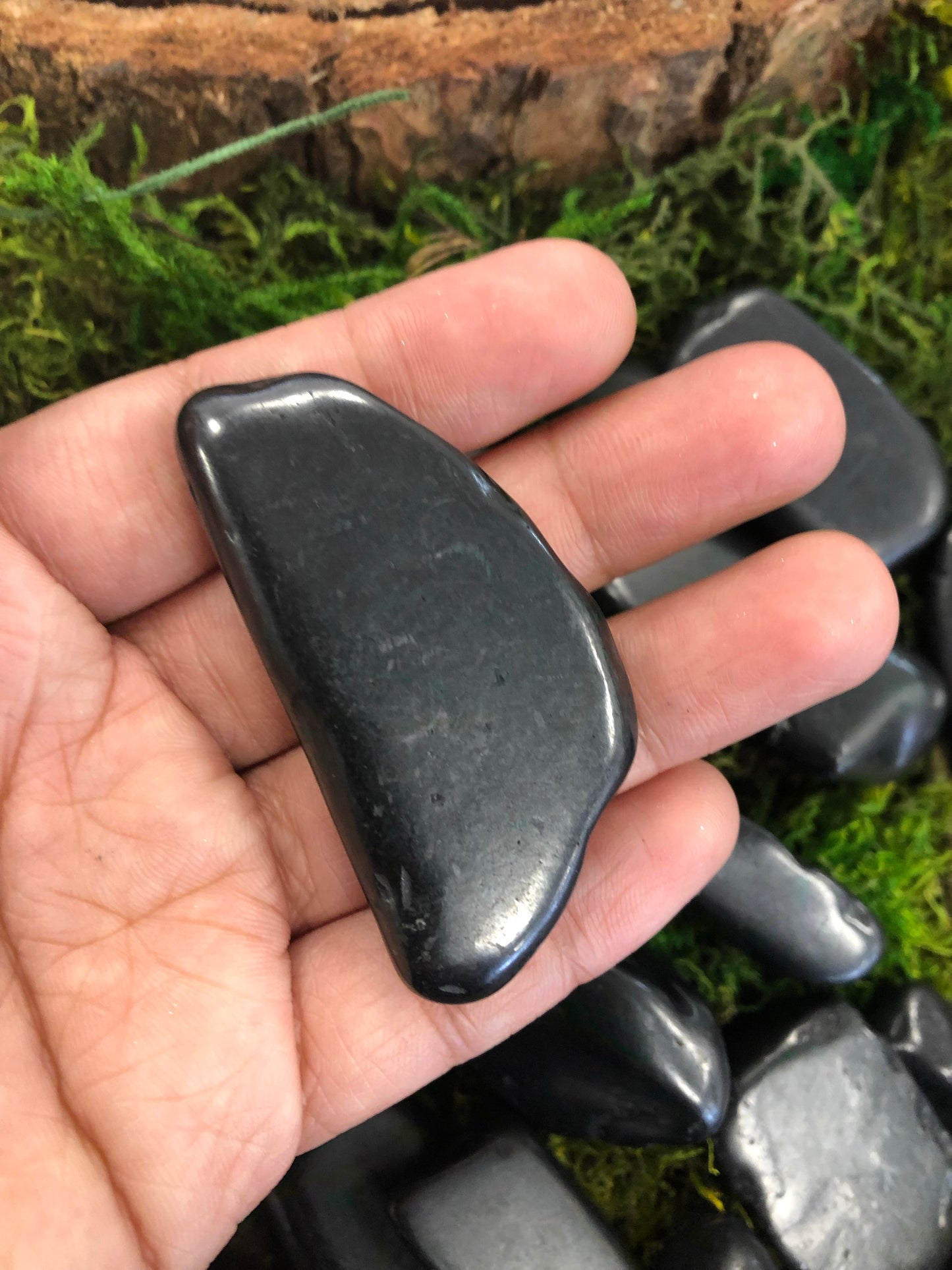 Shungite Tumbled