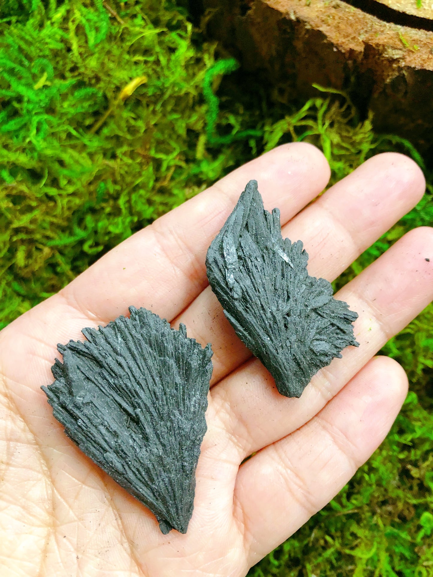 Black Kyanite Tumbled