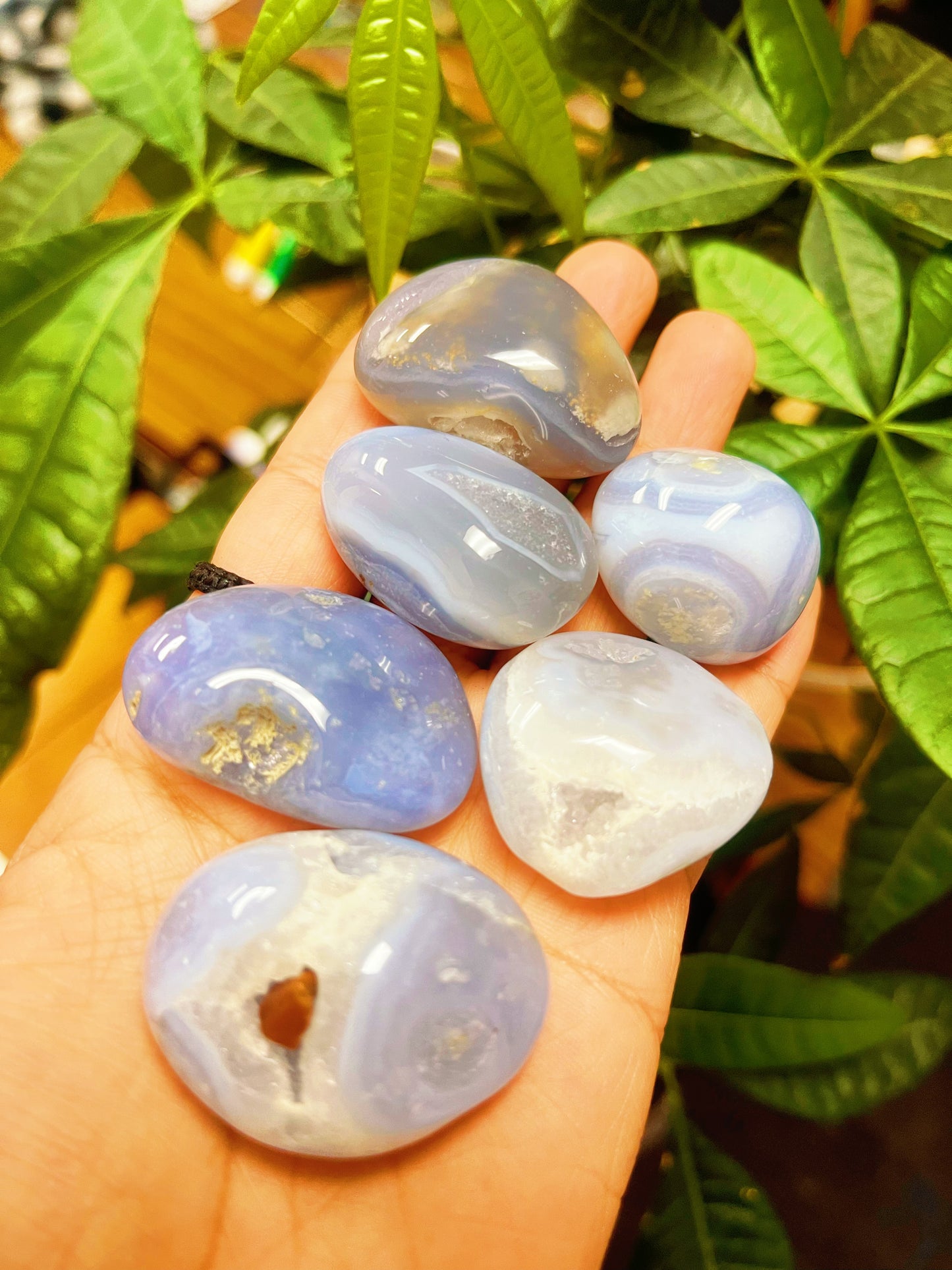 Blue lace Agate Tumbled