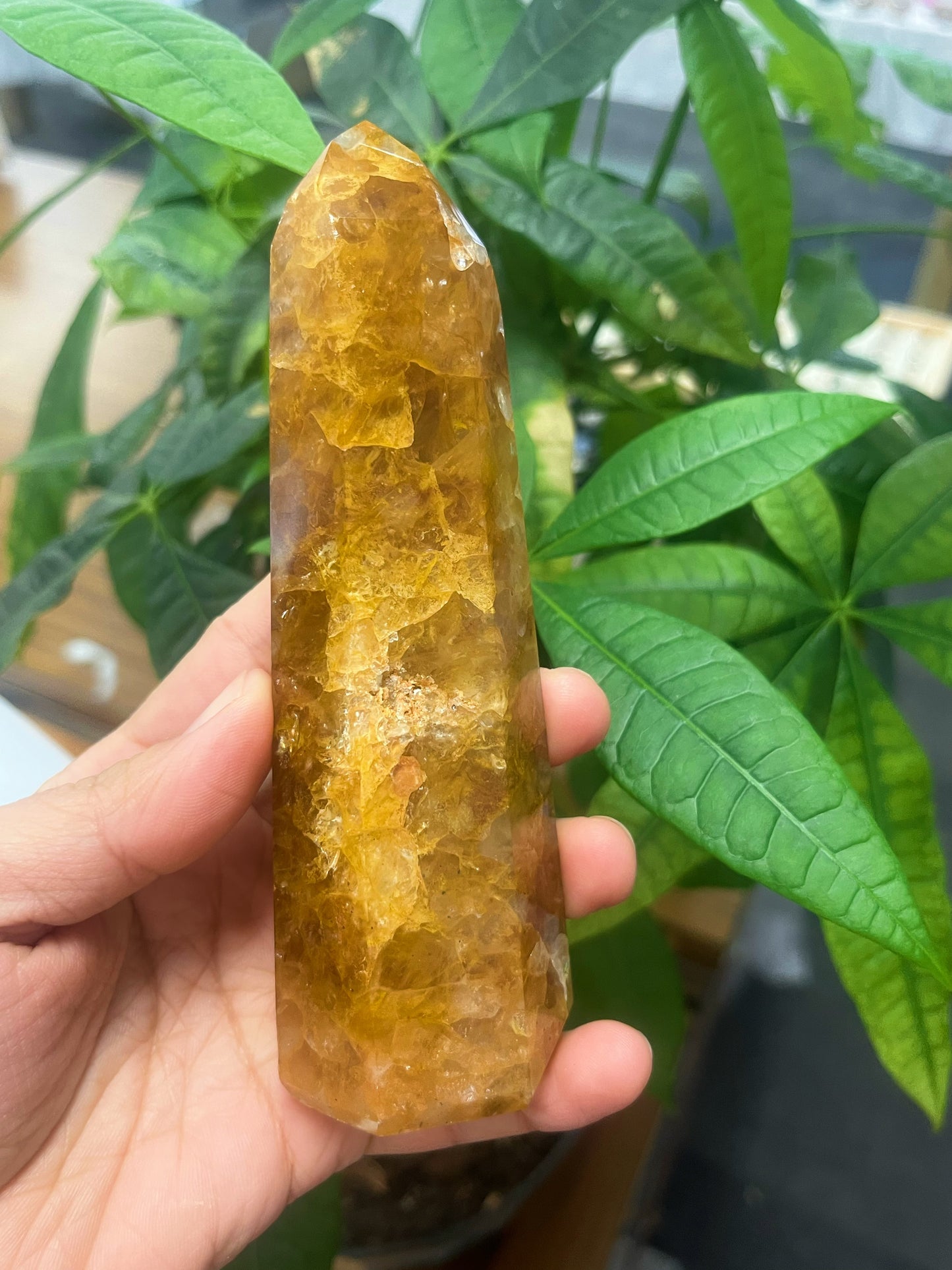 Brazilian Golden Healer Quartz