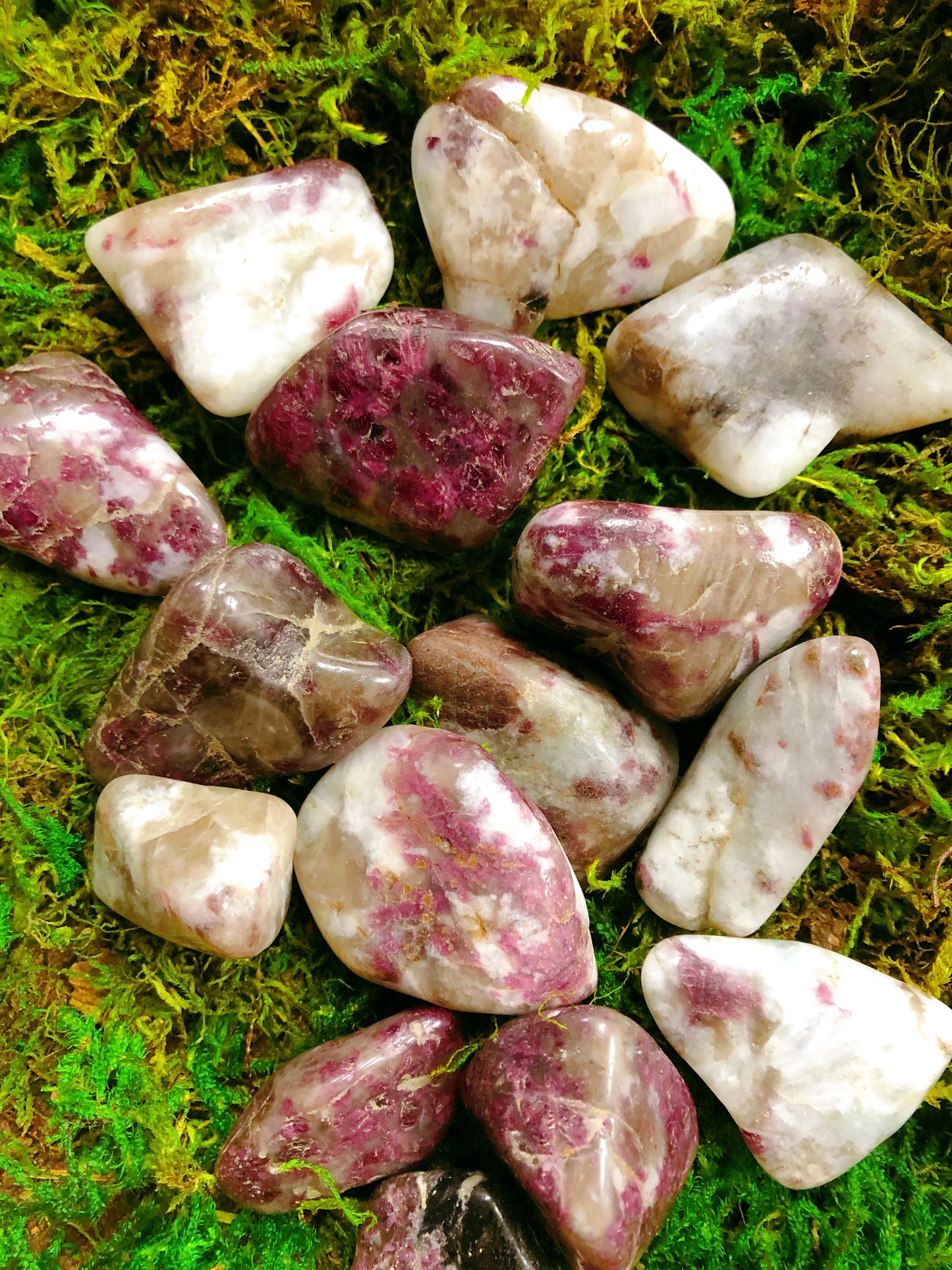 Pink Tourmaline Tumbled