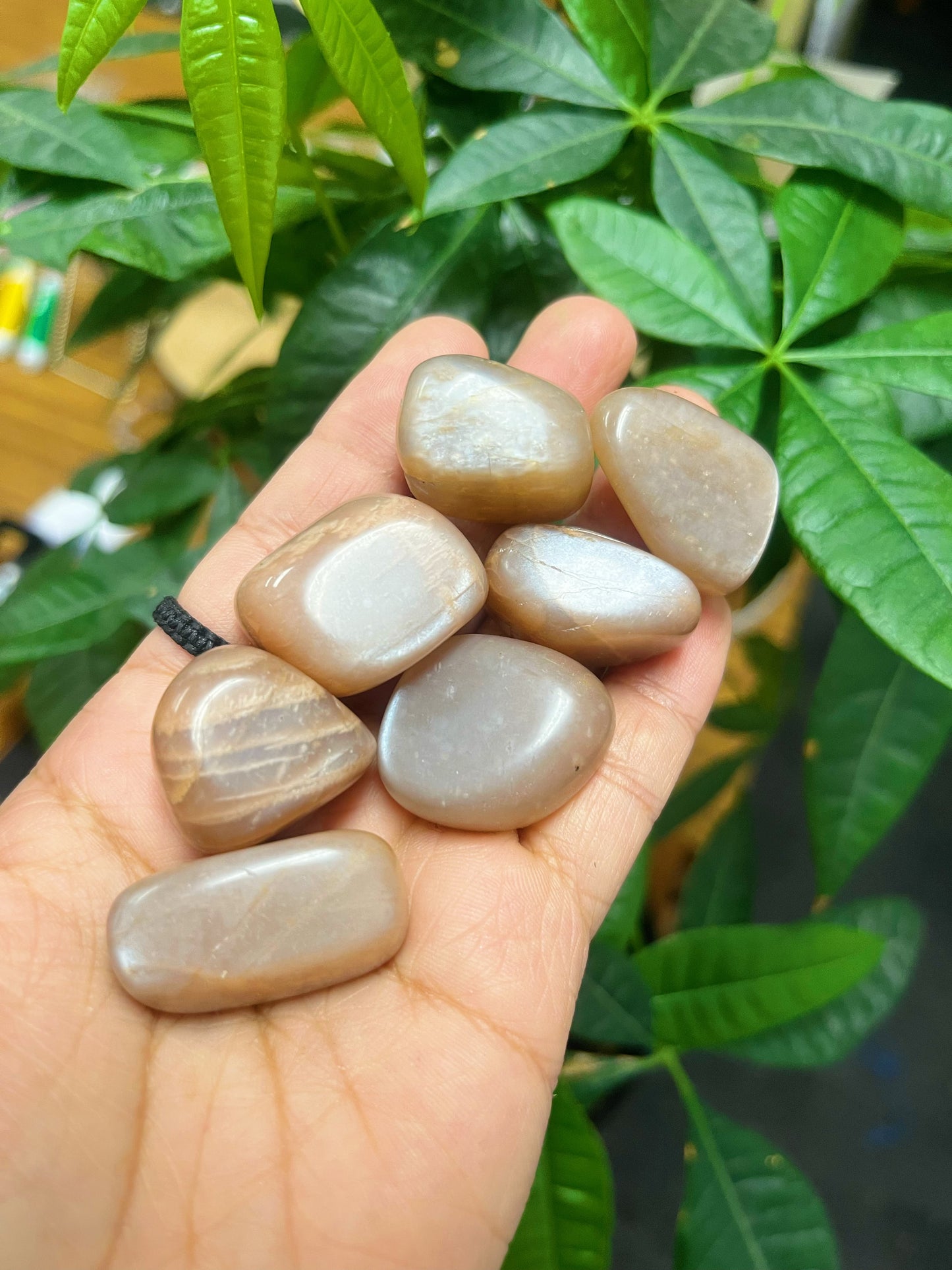Peach Moonstone Tumbled