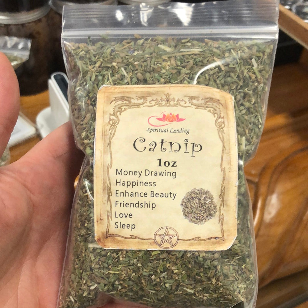 Catnip
