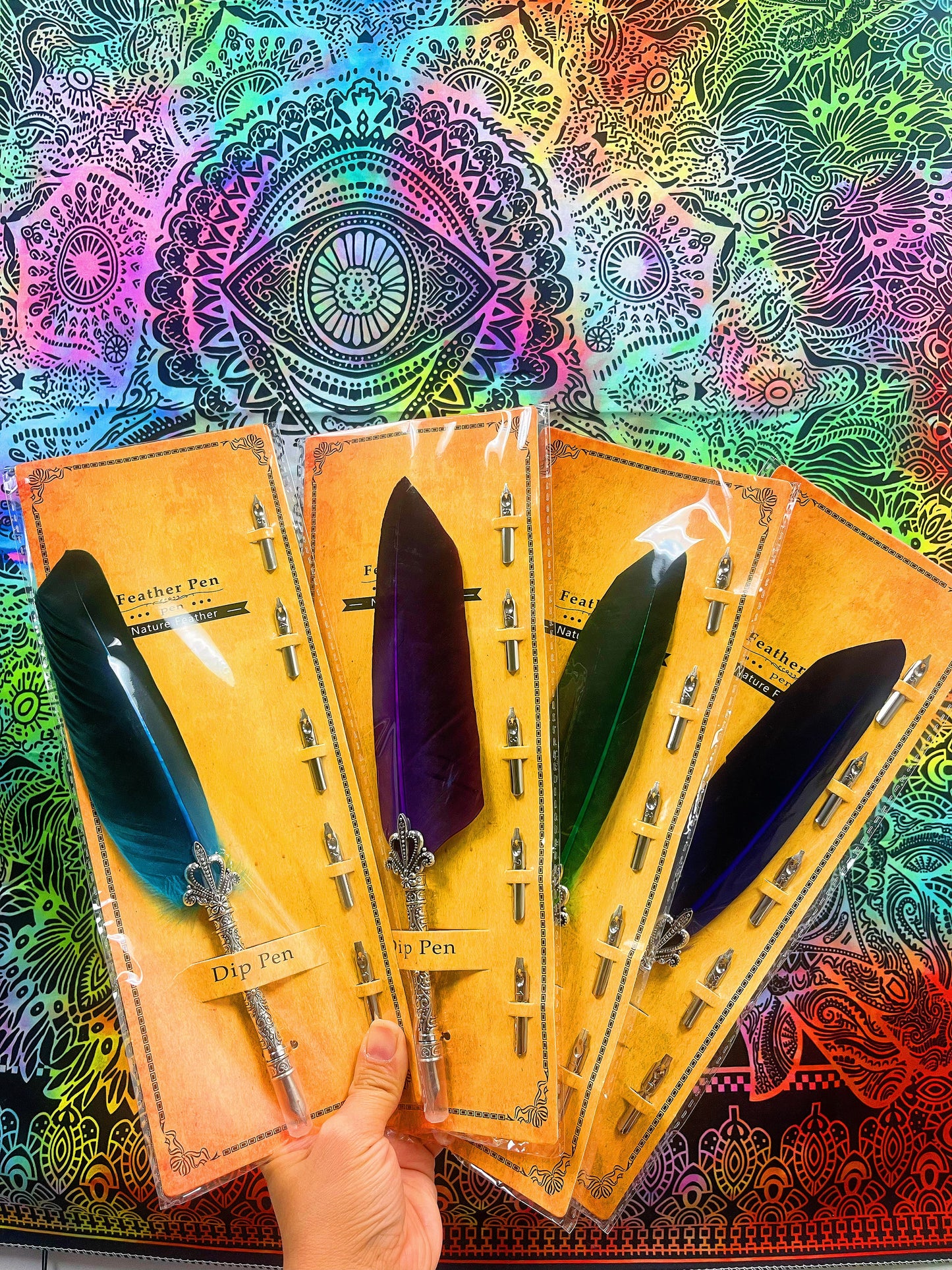 Feather Pen Set with 5 Nibs
