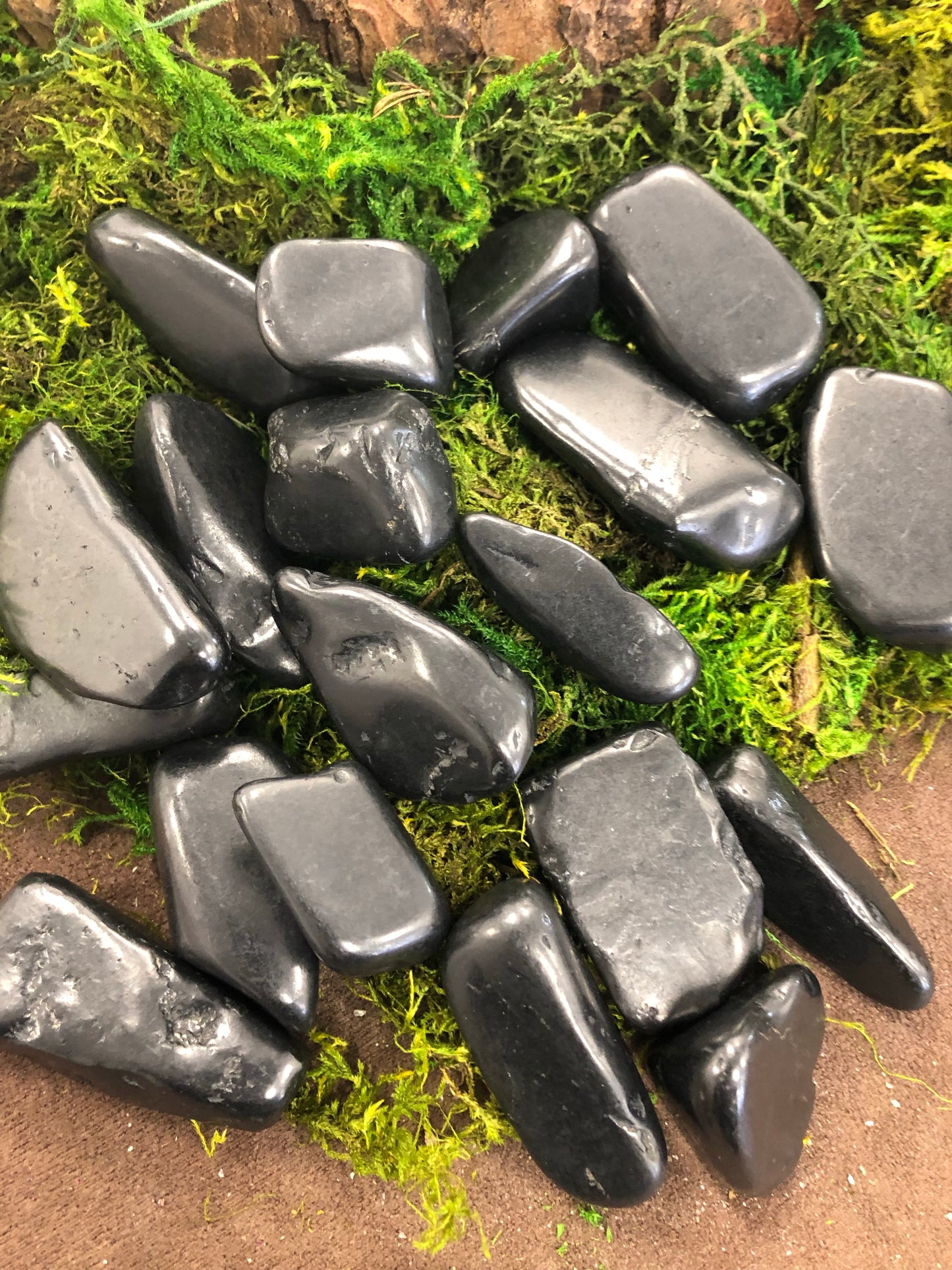 Shungite Tumbled