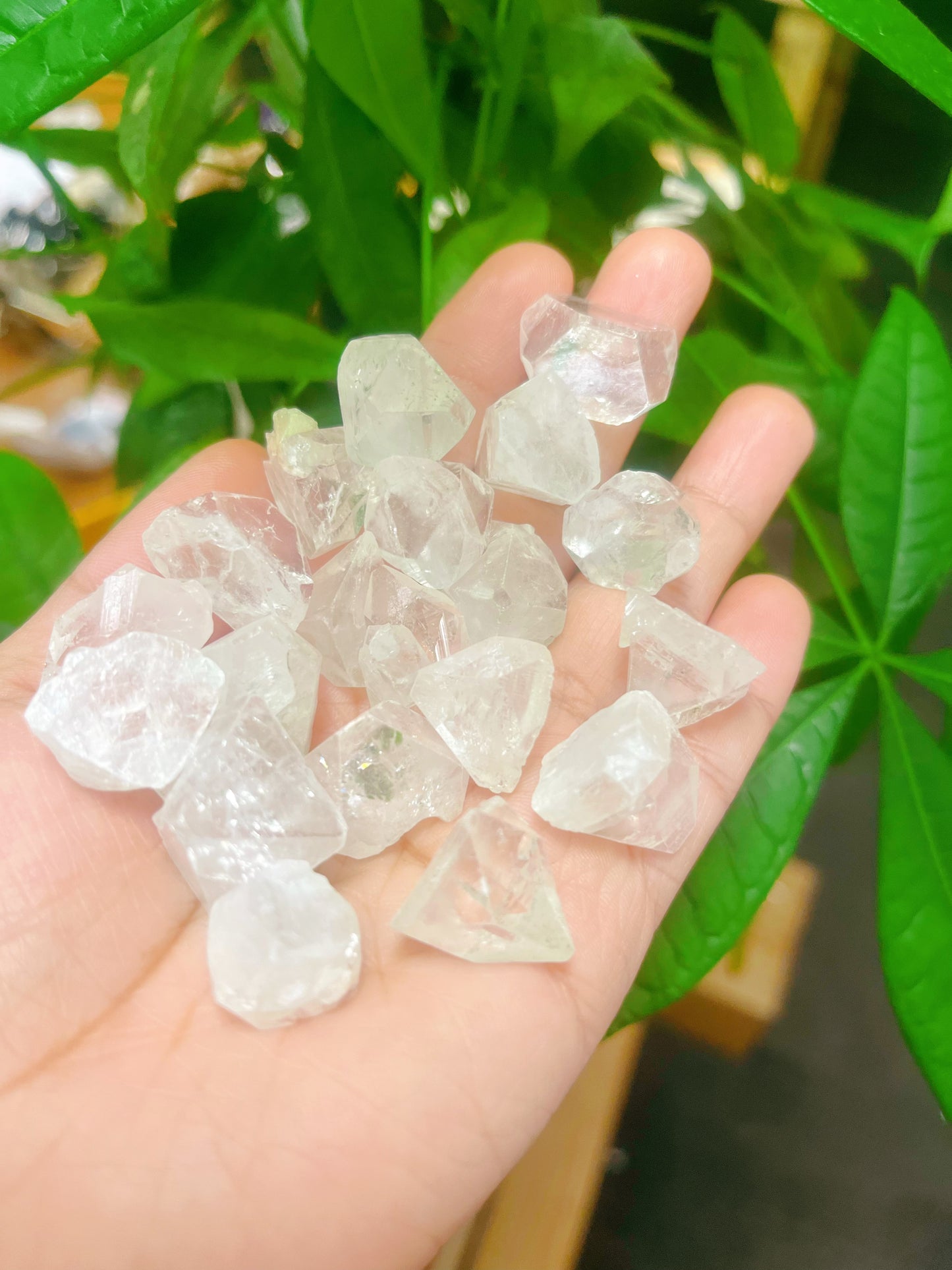 Apophyllite Tips point