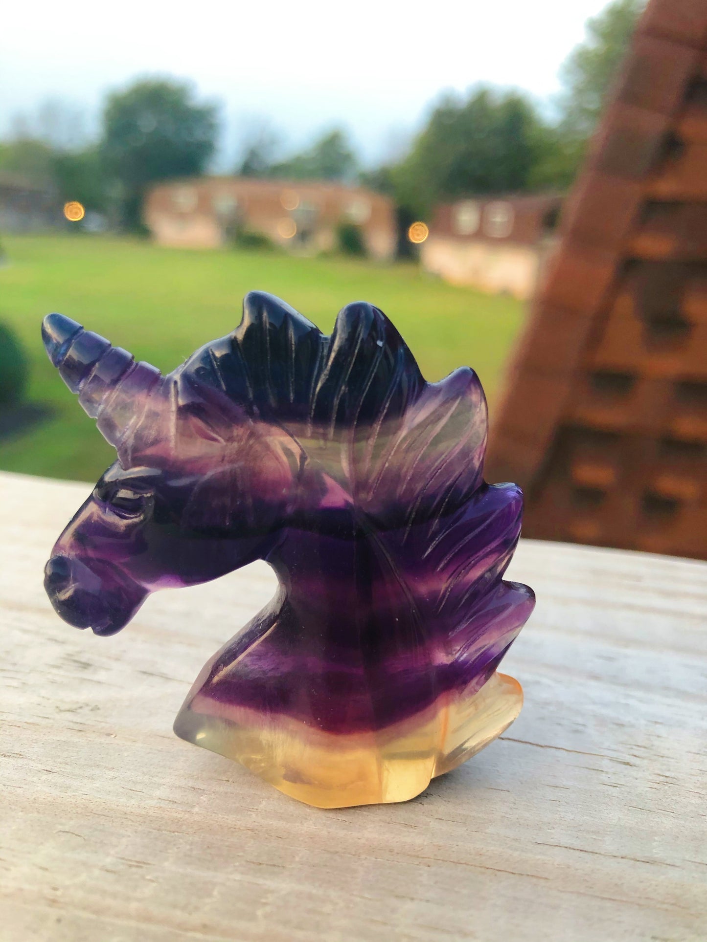 Rainbow Fluorite Unicorn