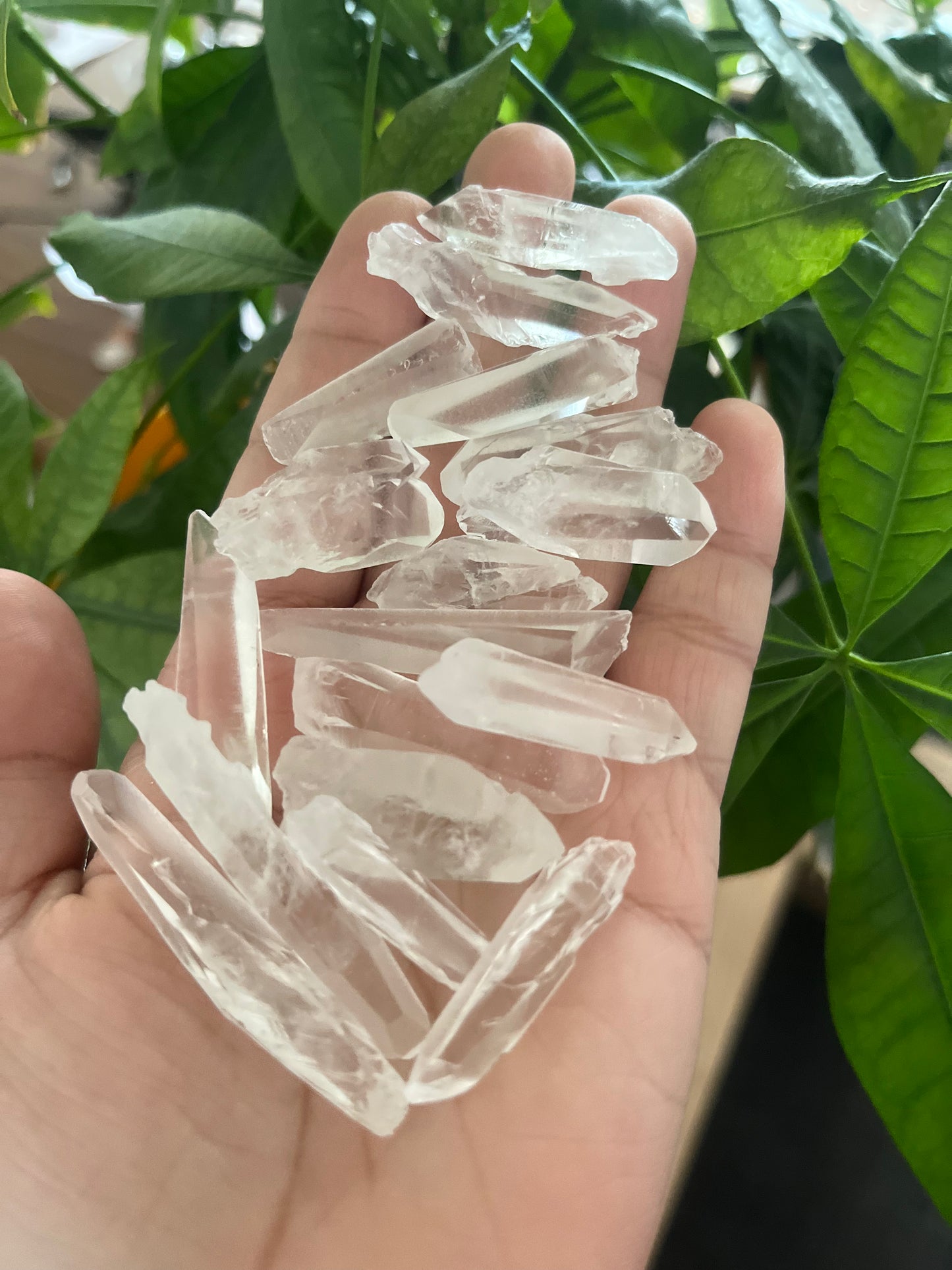 Lemurian Premium Point