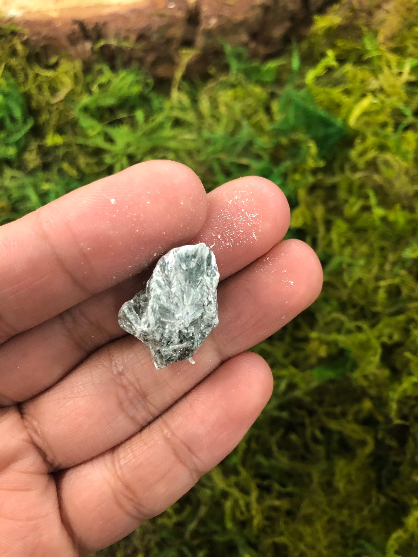 Seraphinite Rough Specimen