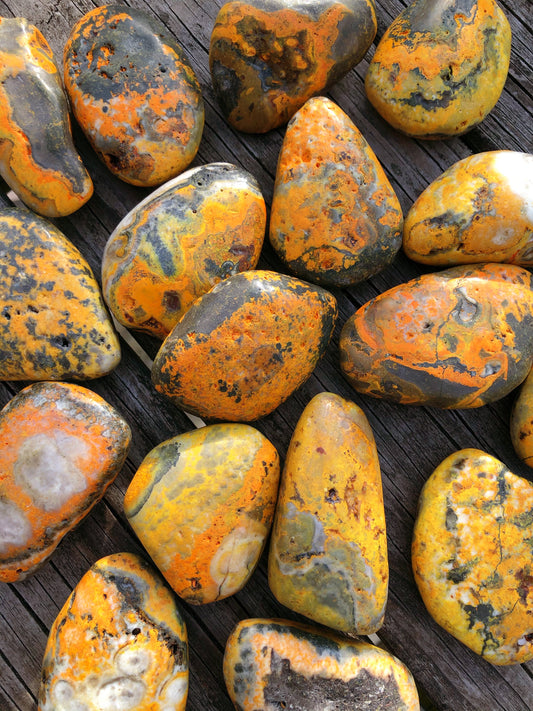 BumbleBee Jasper