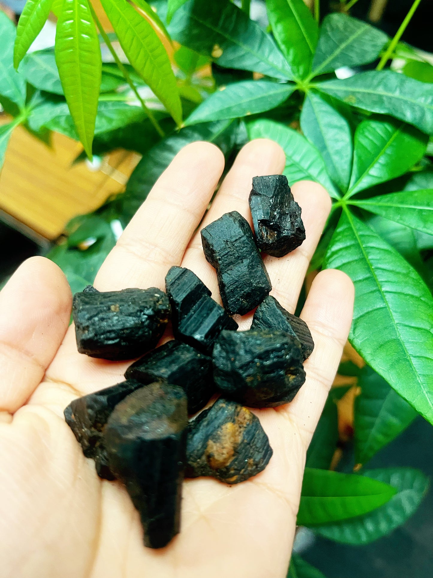 Rough Tourmaline Tumbled