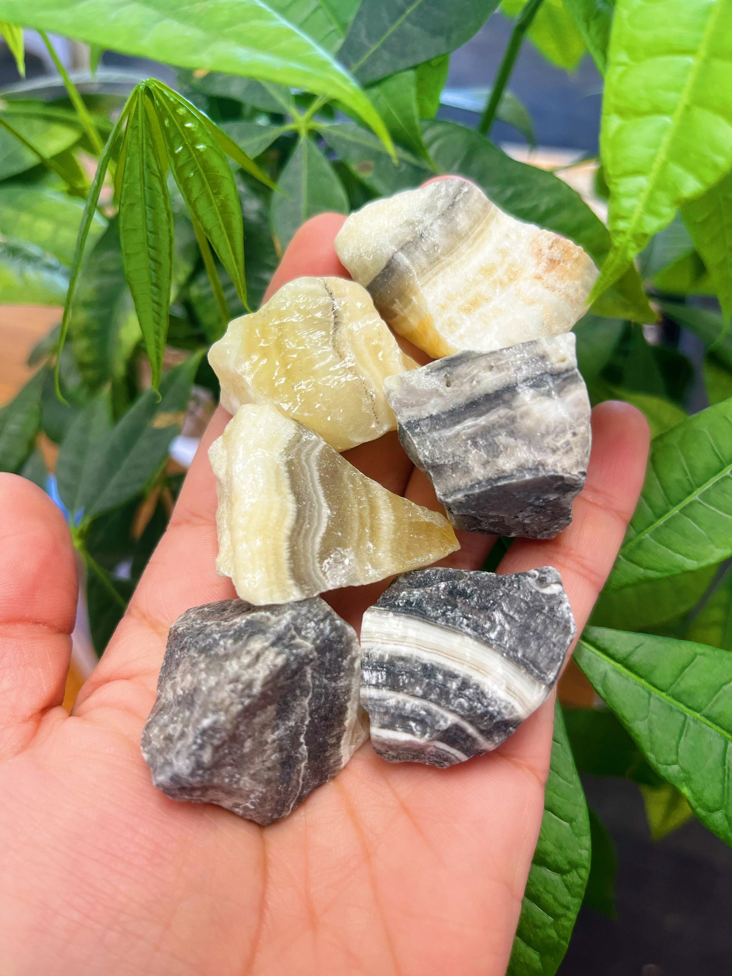 Zebra Calcite Small Rough