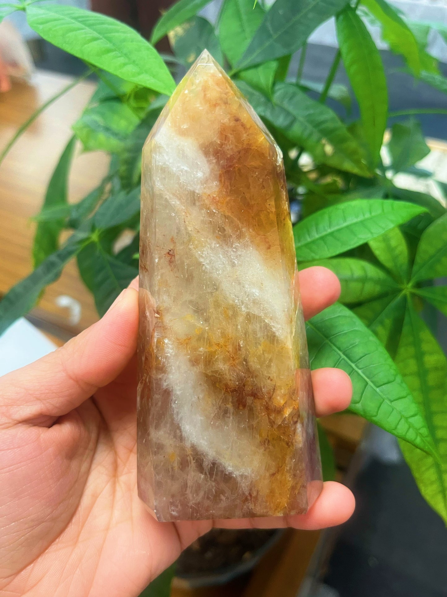 Brazilian Golden Healer Quartz