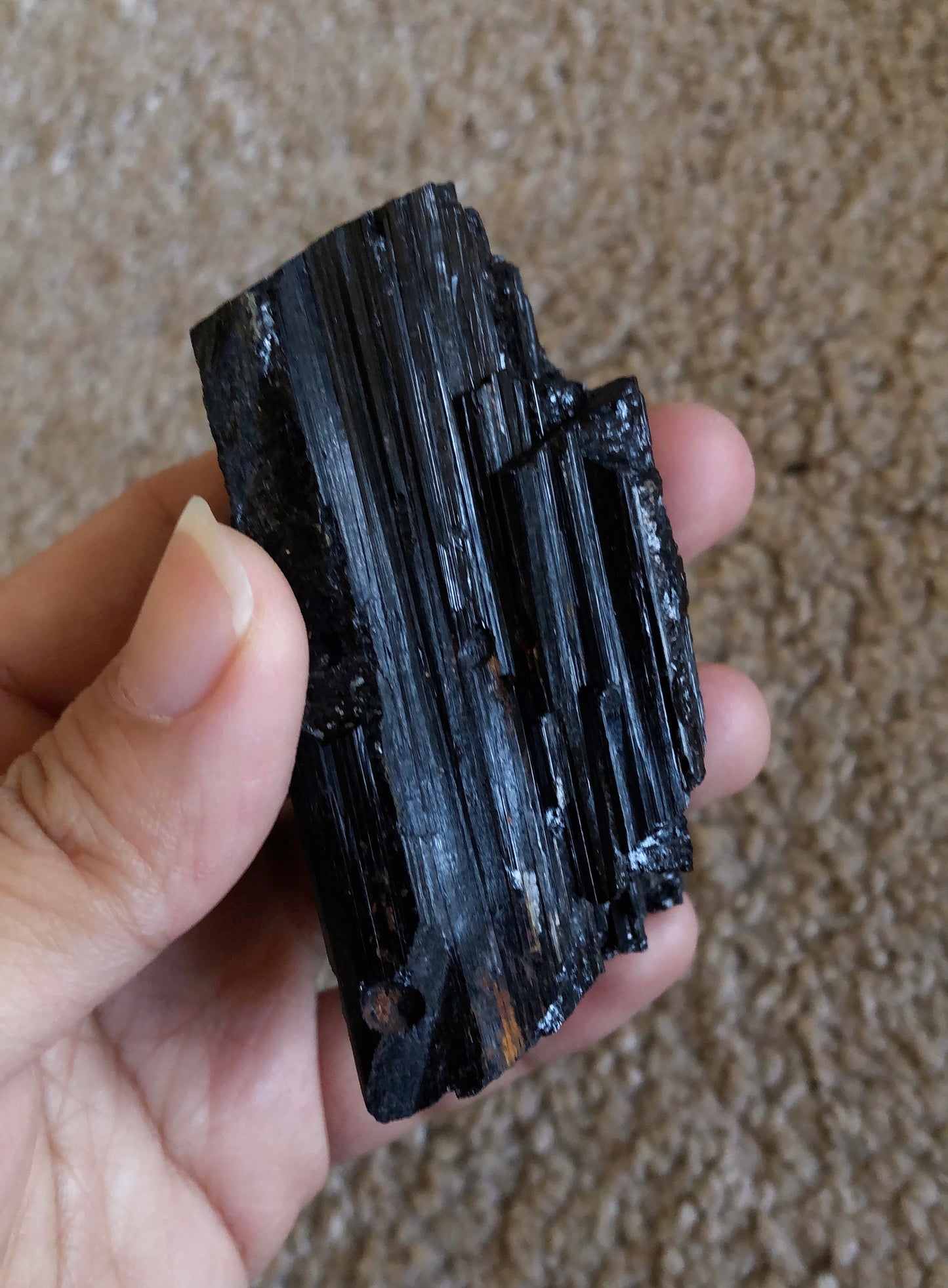 Rough Black Tourmaline Specimens