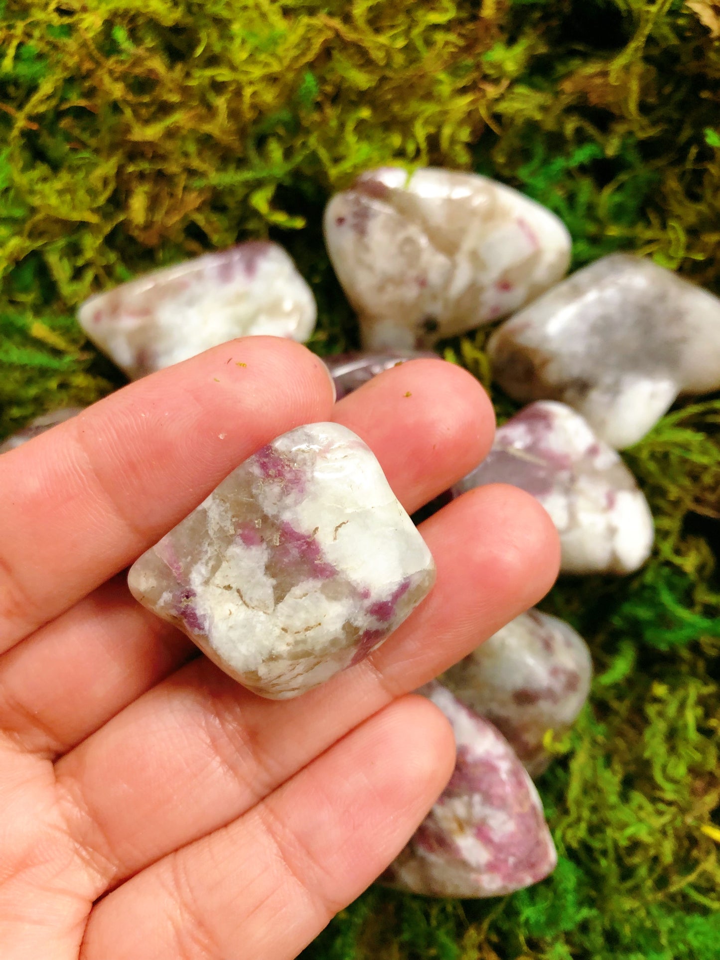 Pink Tourmaline Tumbled