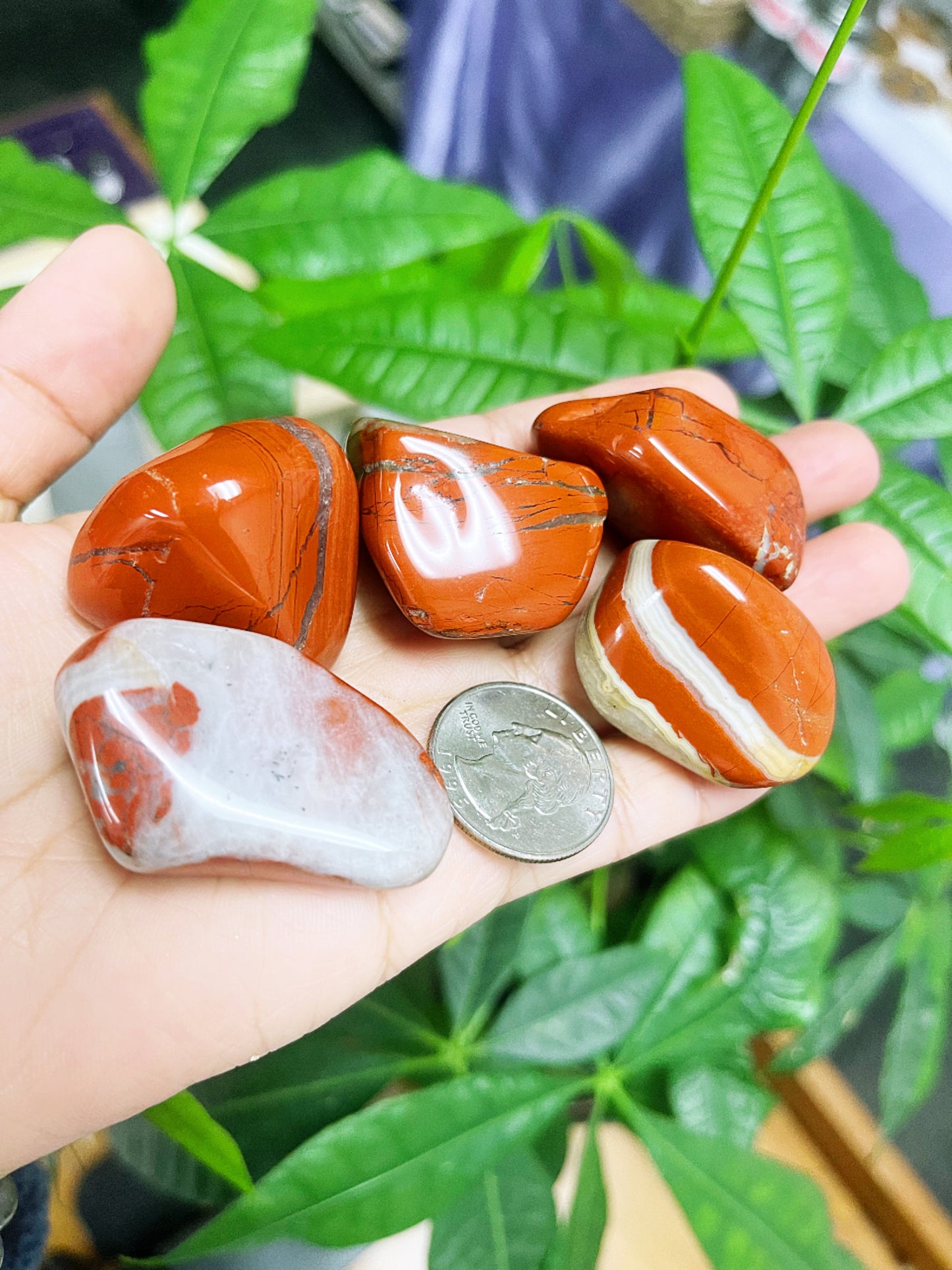 Red Jasper Tumbled