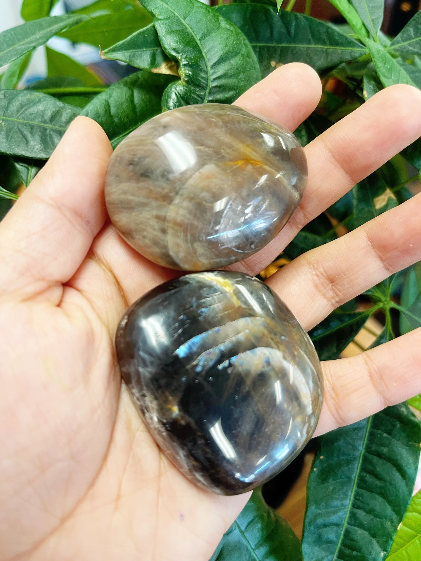 Black Moonstone Palm Stones