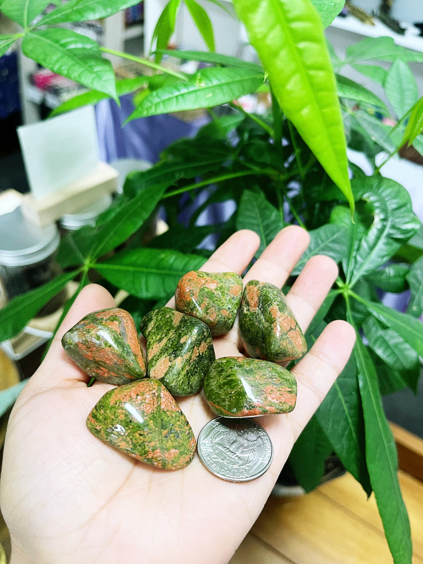 Unakite Tumbled