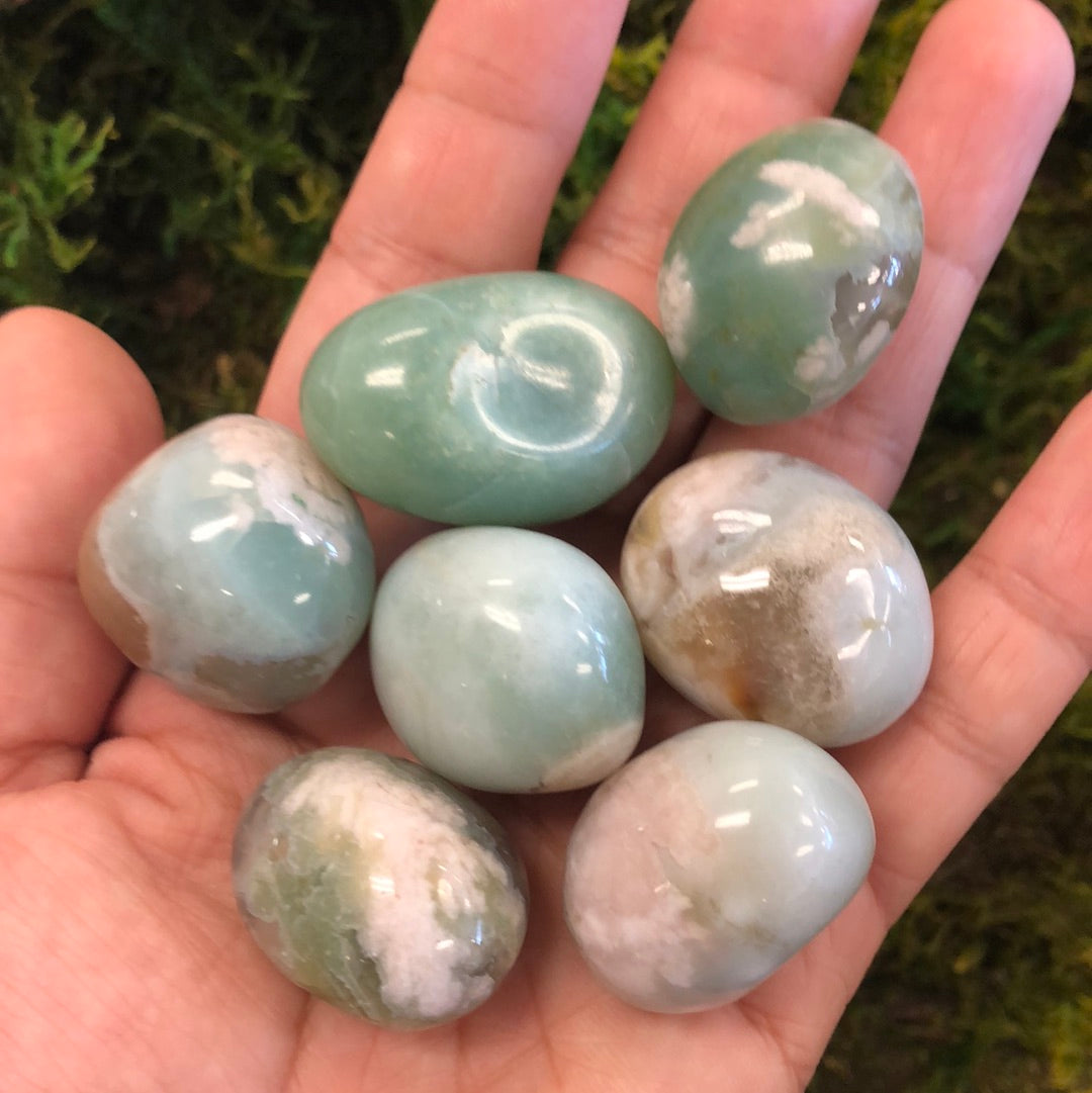 Green Flower Agate Tumbled