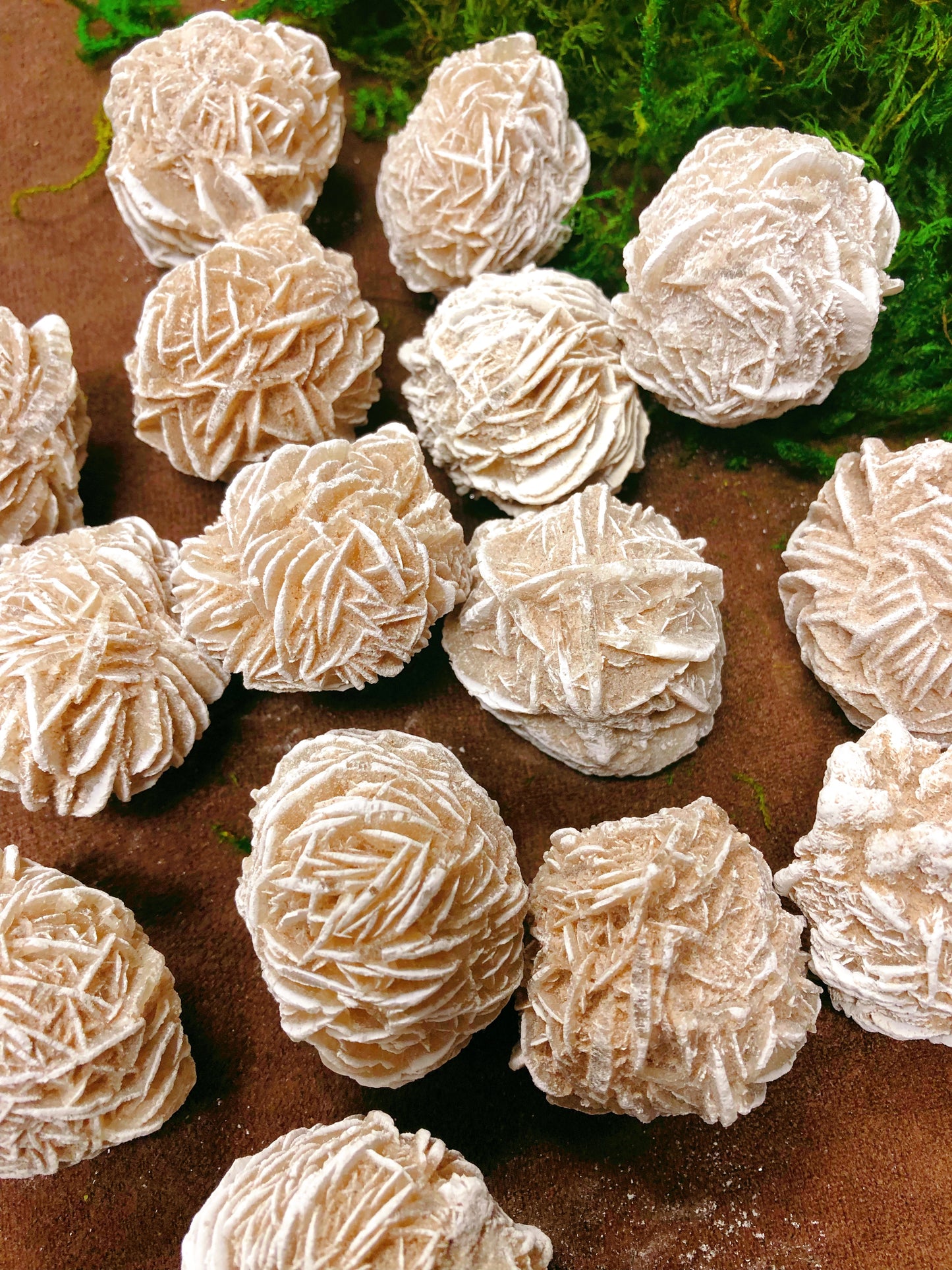 Deserts Rose Selenite