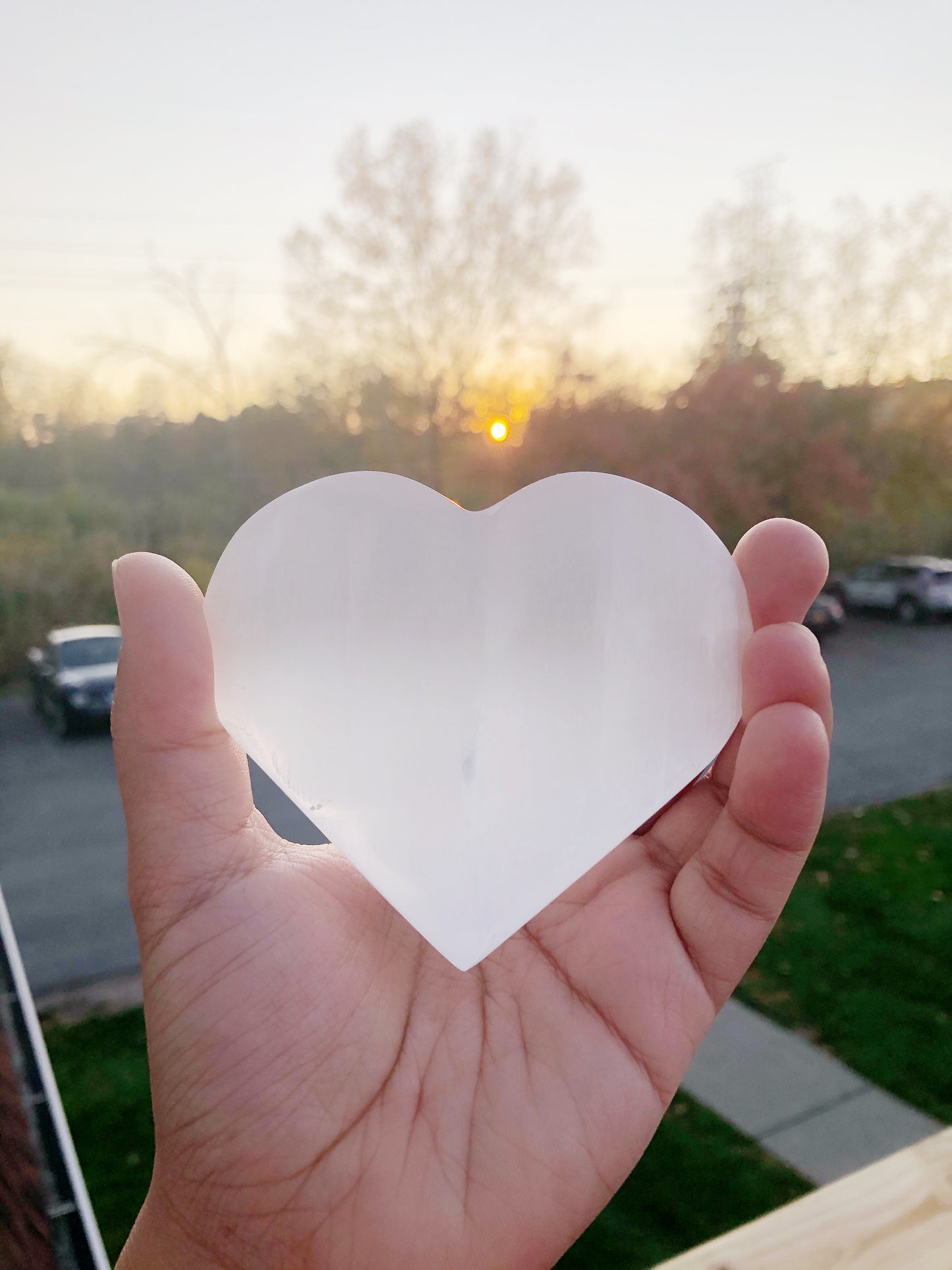 Russia Shungite Rough