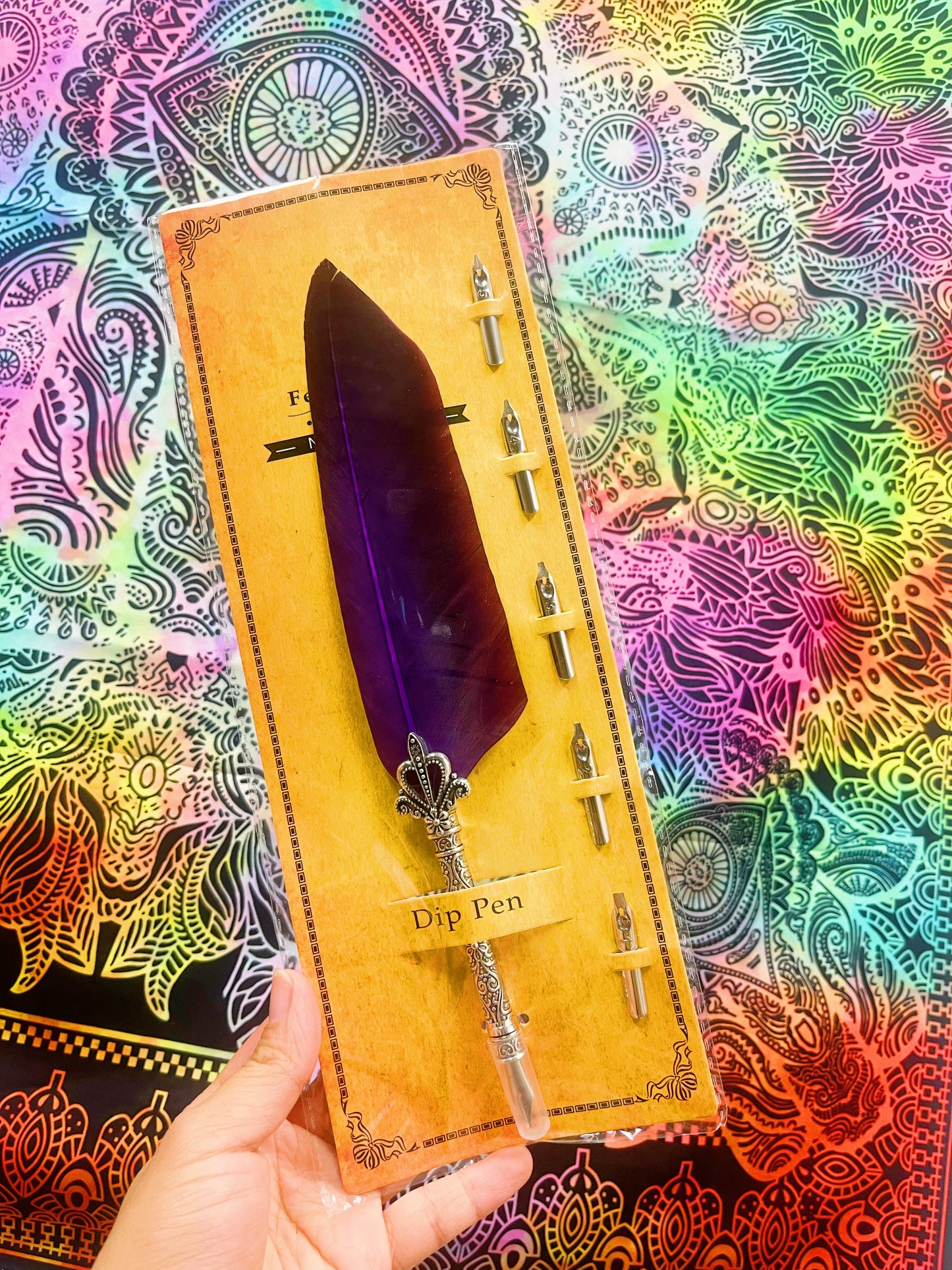 Feather Pen Set with 5 Nibs
