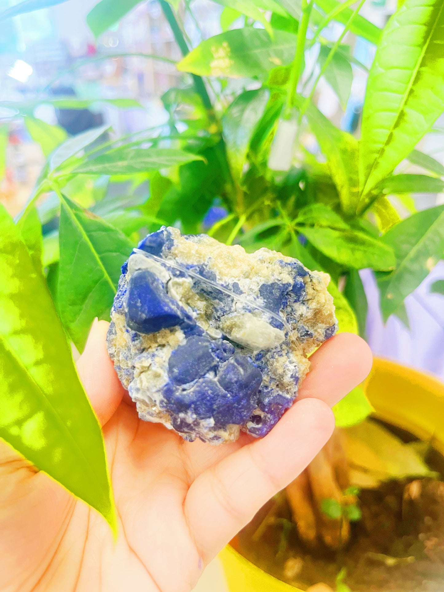 Lazurite Specimen