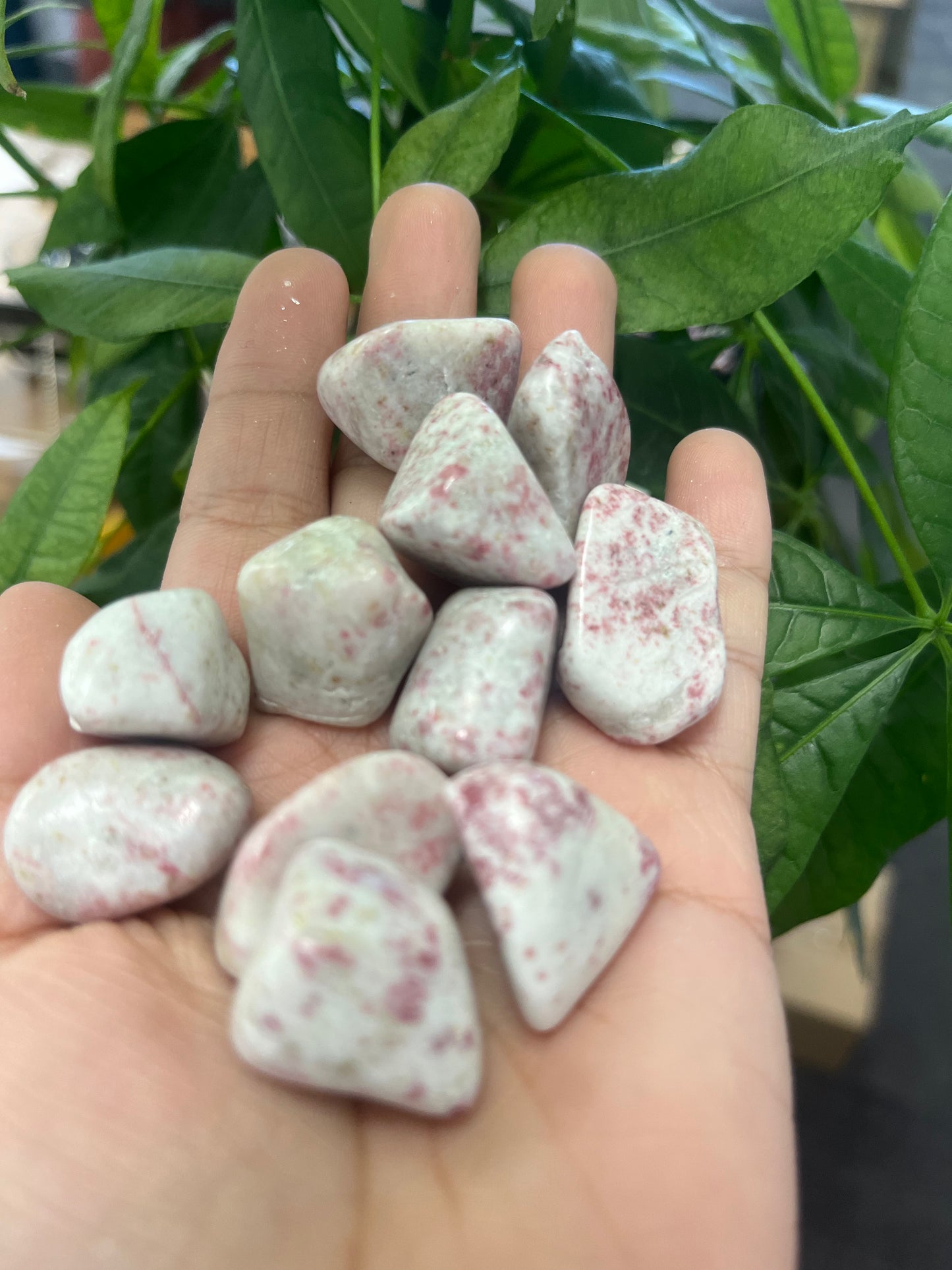 Cinnabar Tumbled