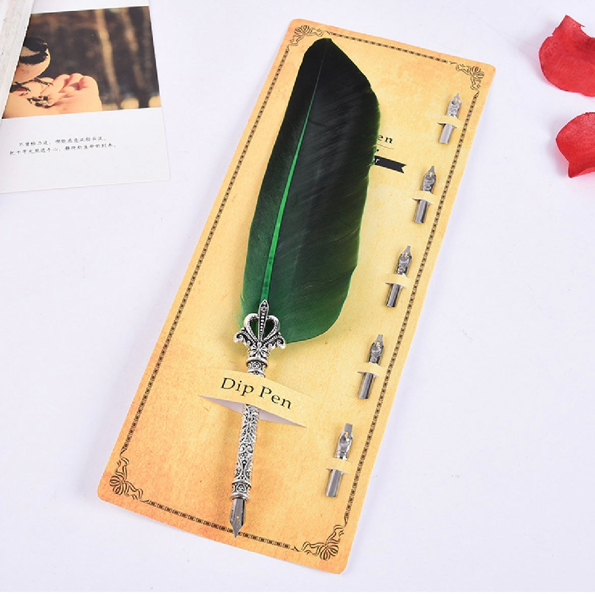 Feather Pen Set with 5 Nibs