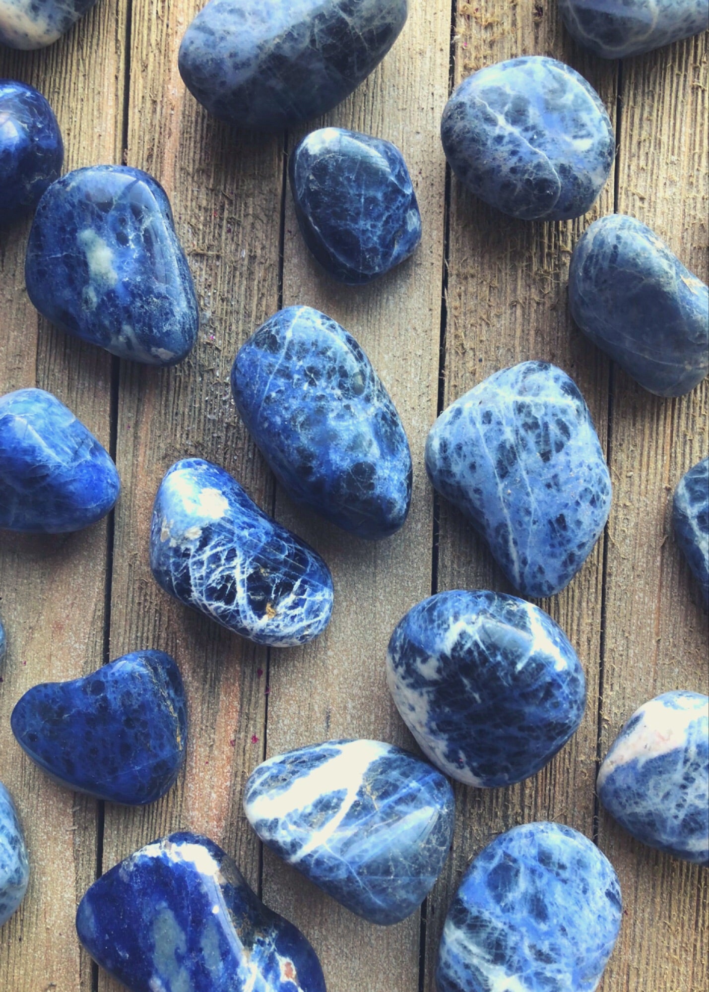 Sodalite Tumbled