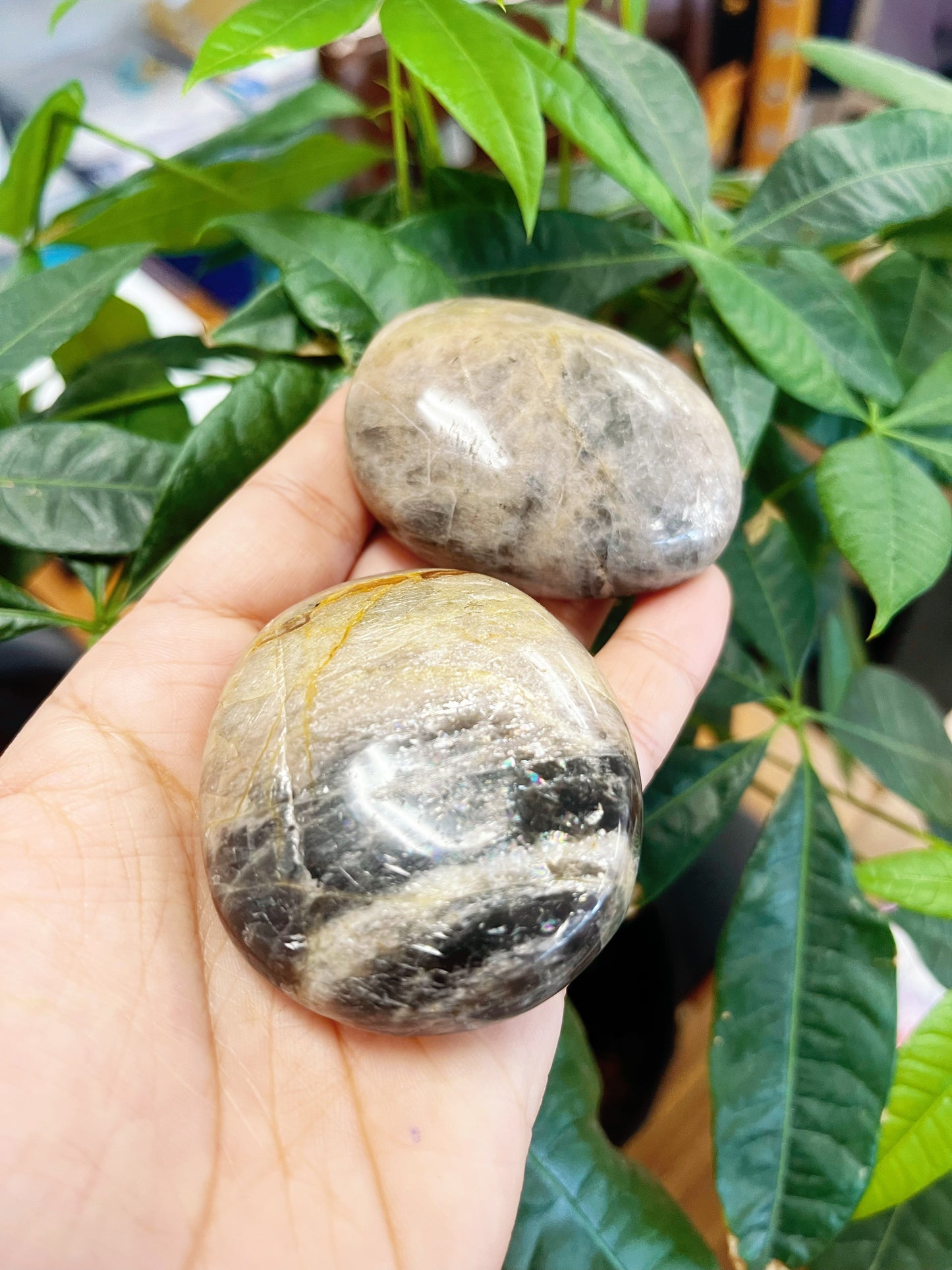 Black Moonstone Palm Stones