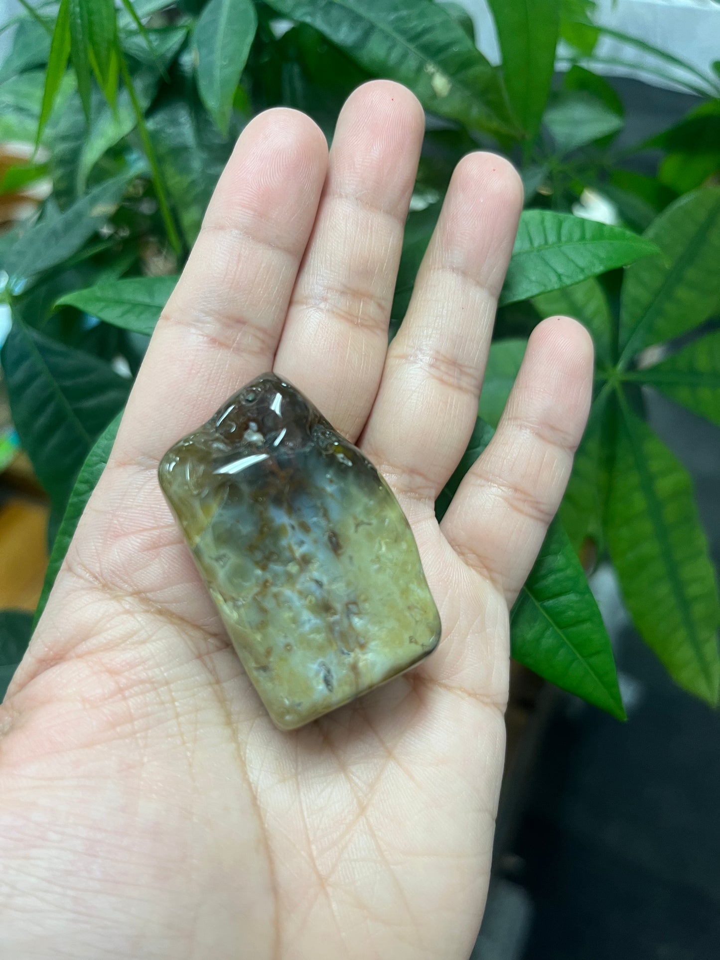 Ocean Jasper Tumbled