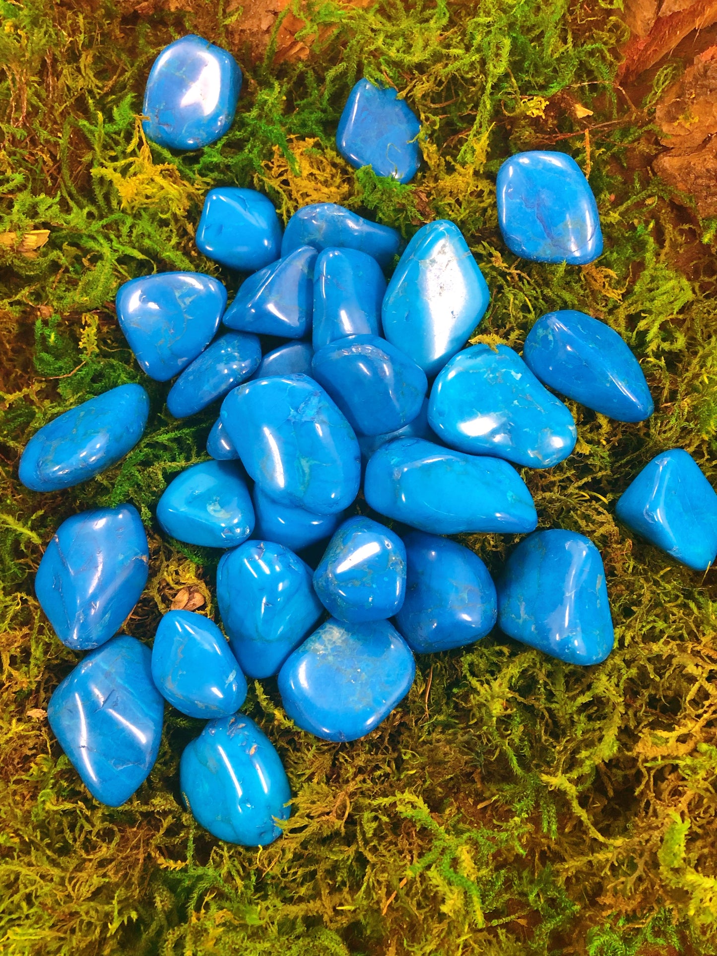 Blue Howlite Tumbled