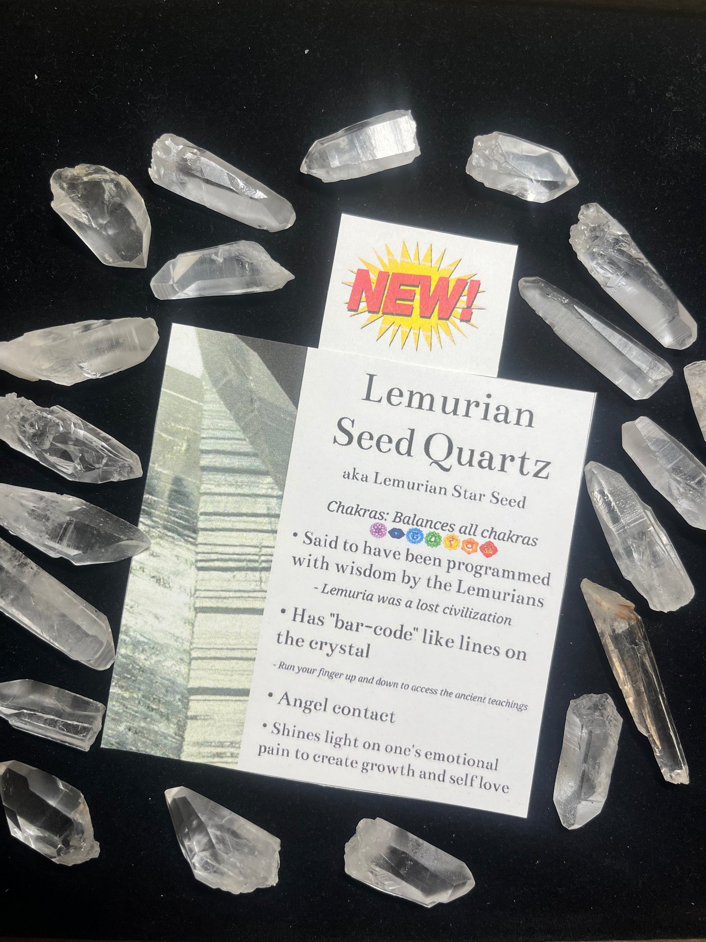 Lemurian Premium Point
