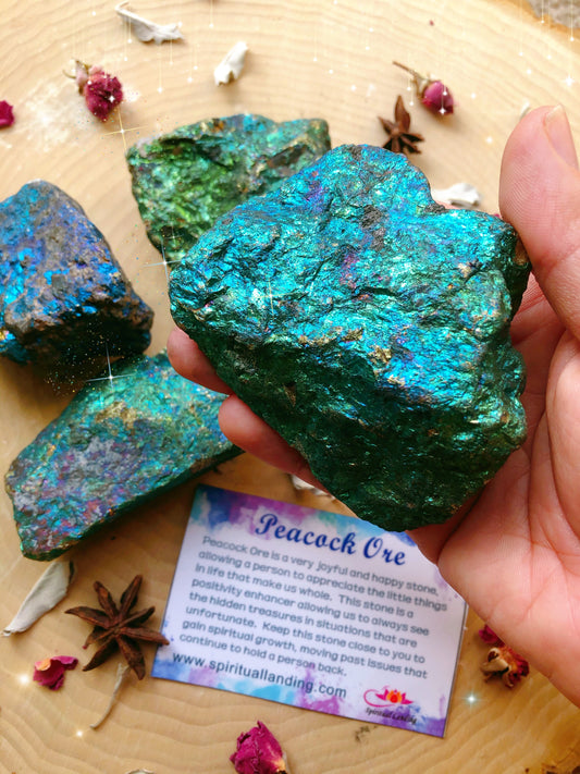 Bornite/Peacock Ore Big Chunks