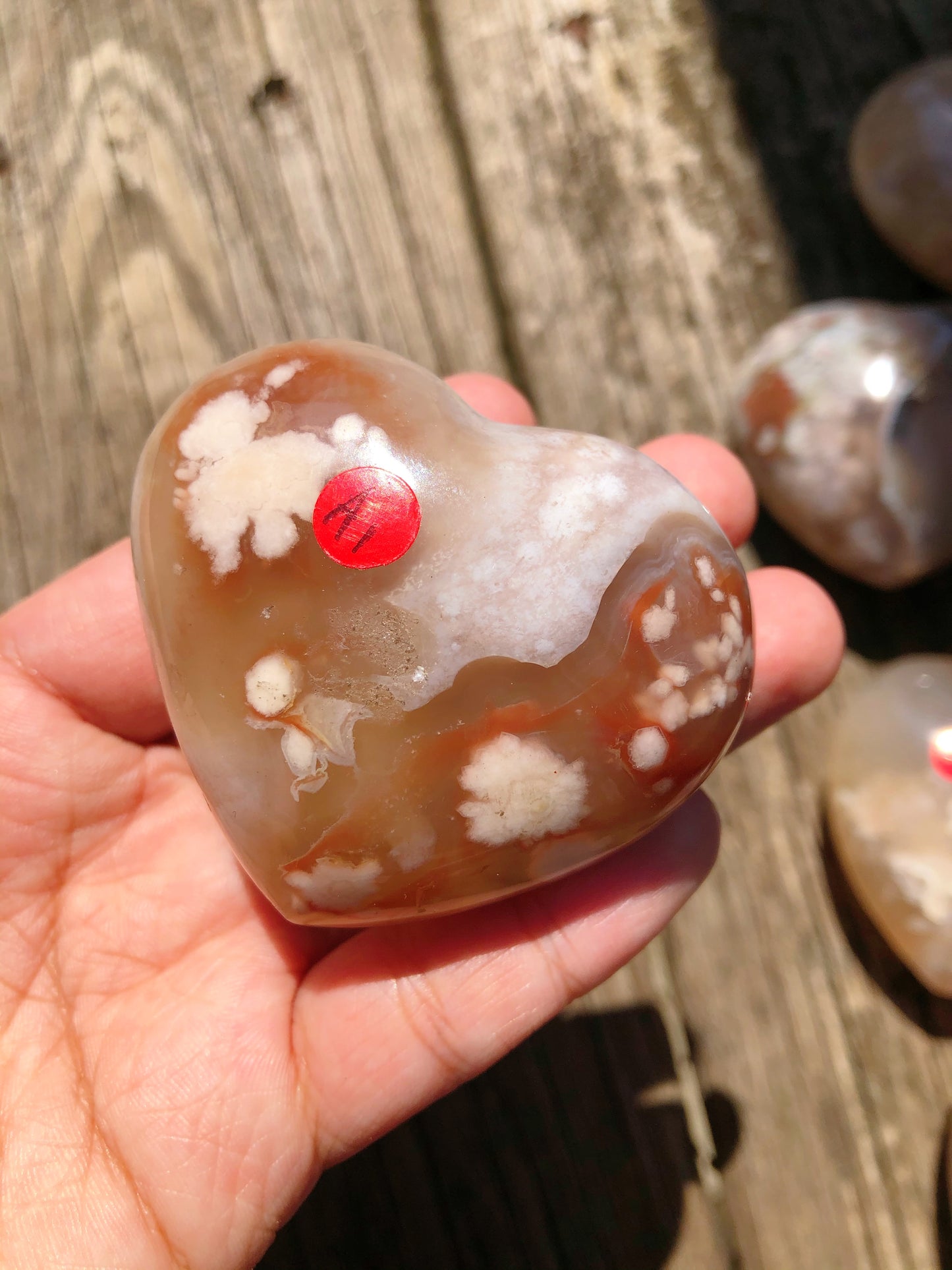 Flower Agate Hearts