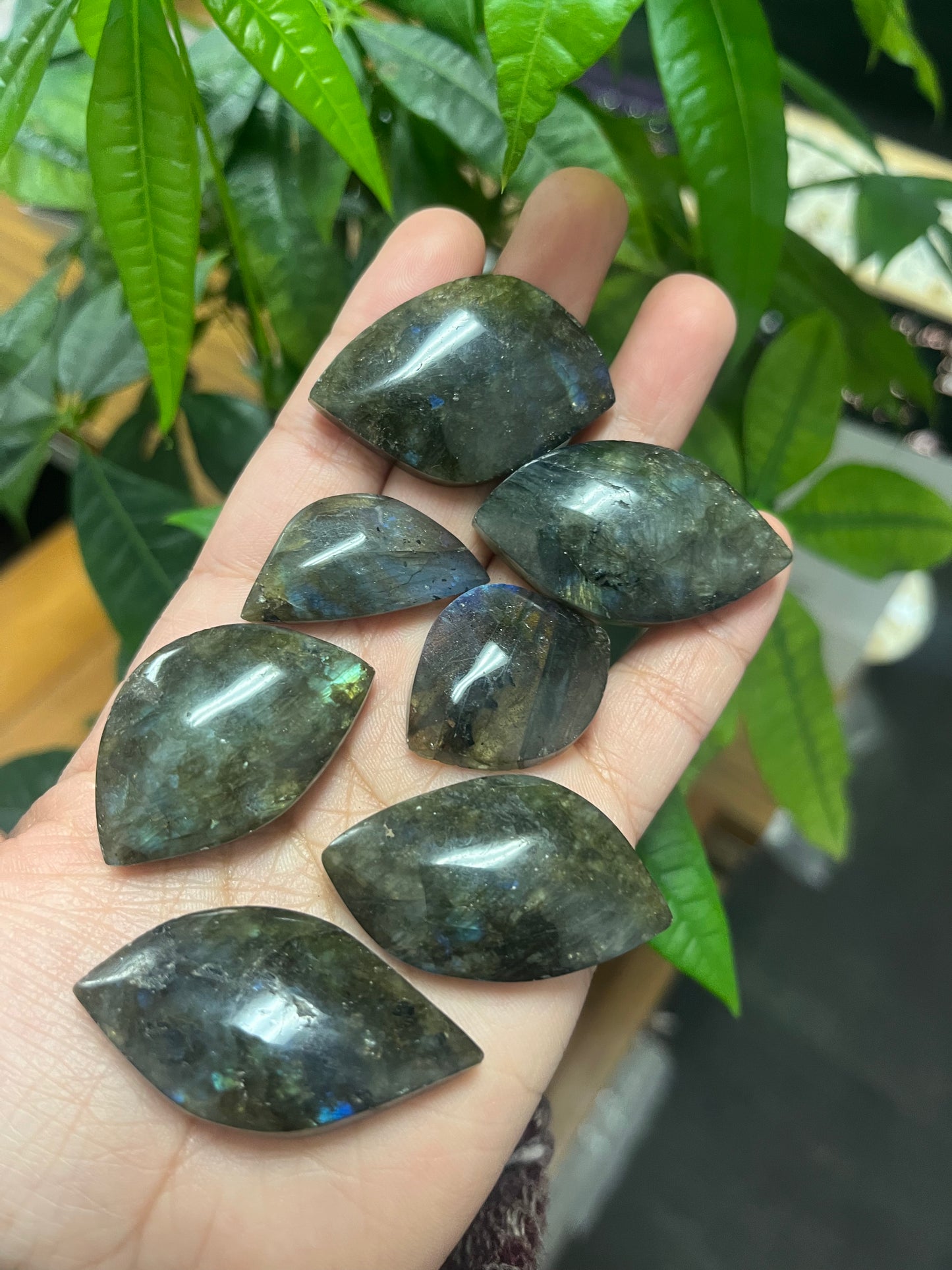 Labradorite Cabachon