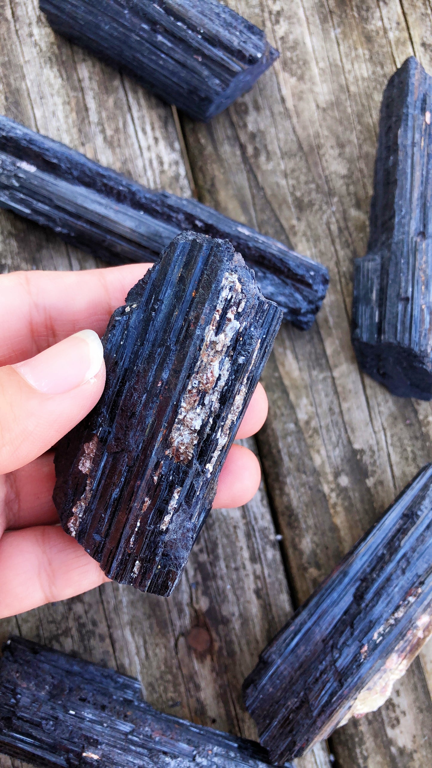 Rough Black Tourmaline Specimens