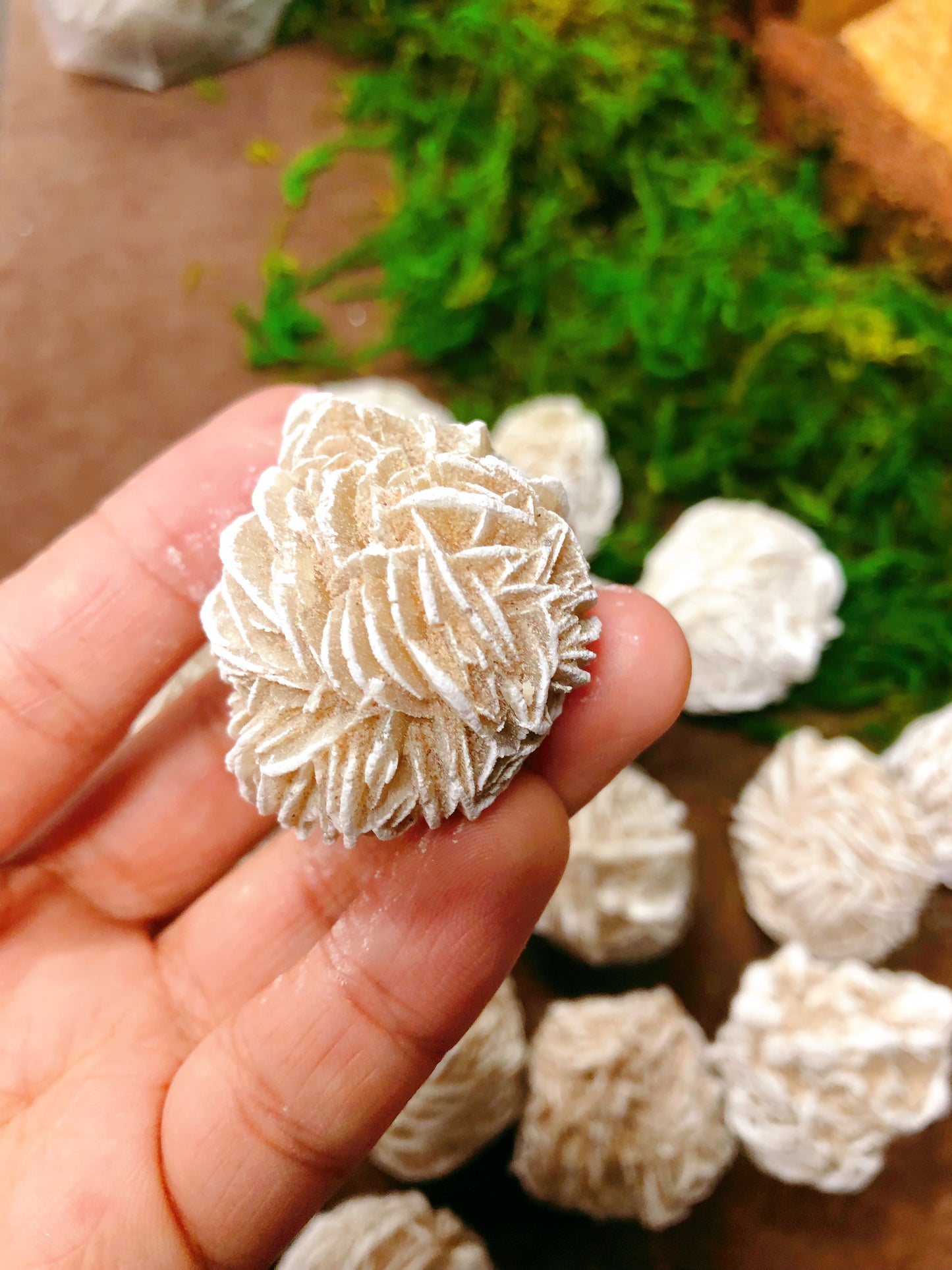 Deserts Rose Selenite