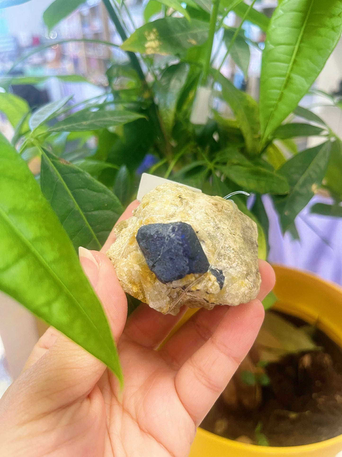 Lazurite Specimen