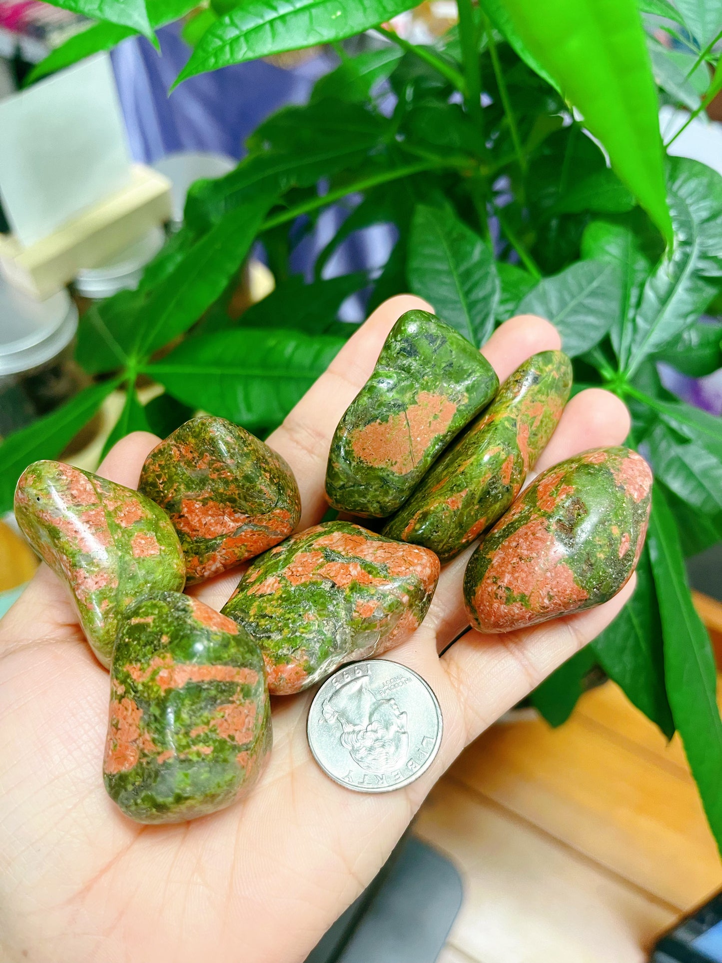 Unakite Tumbled
