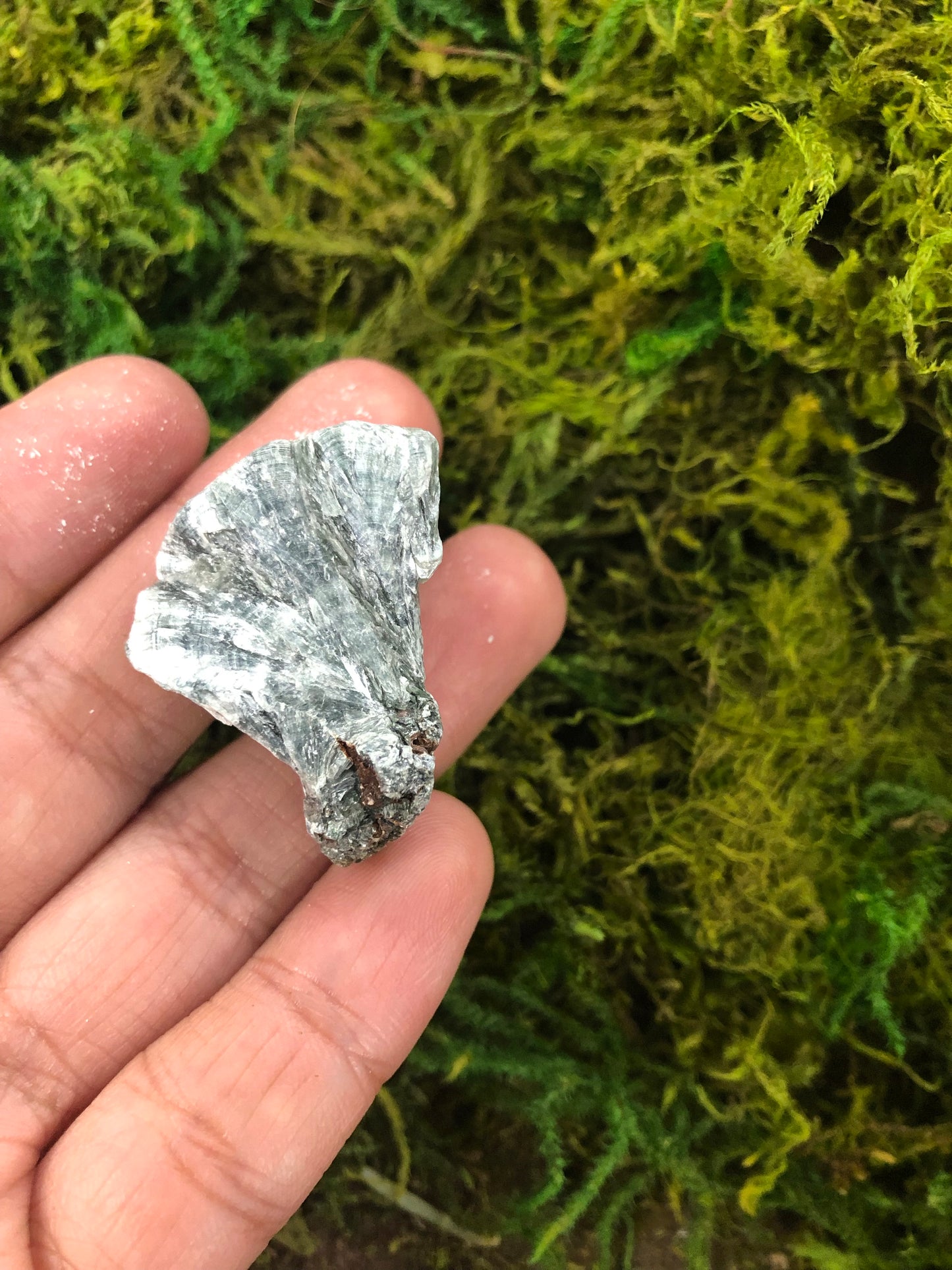 Seraphinite Rough Specimen