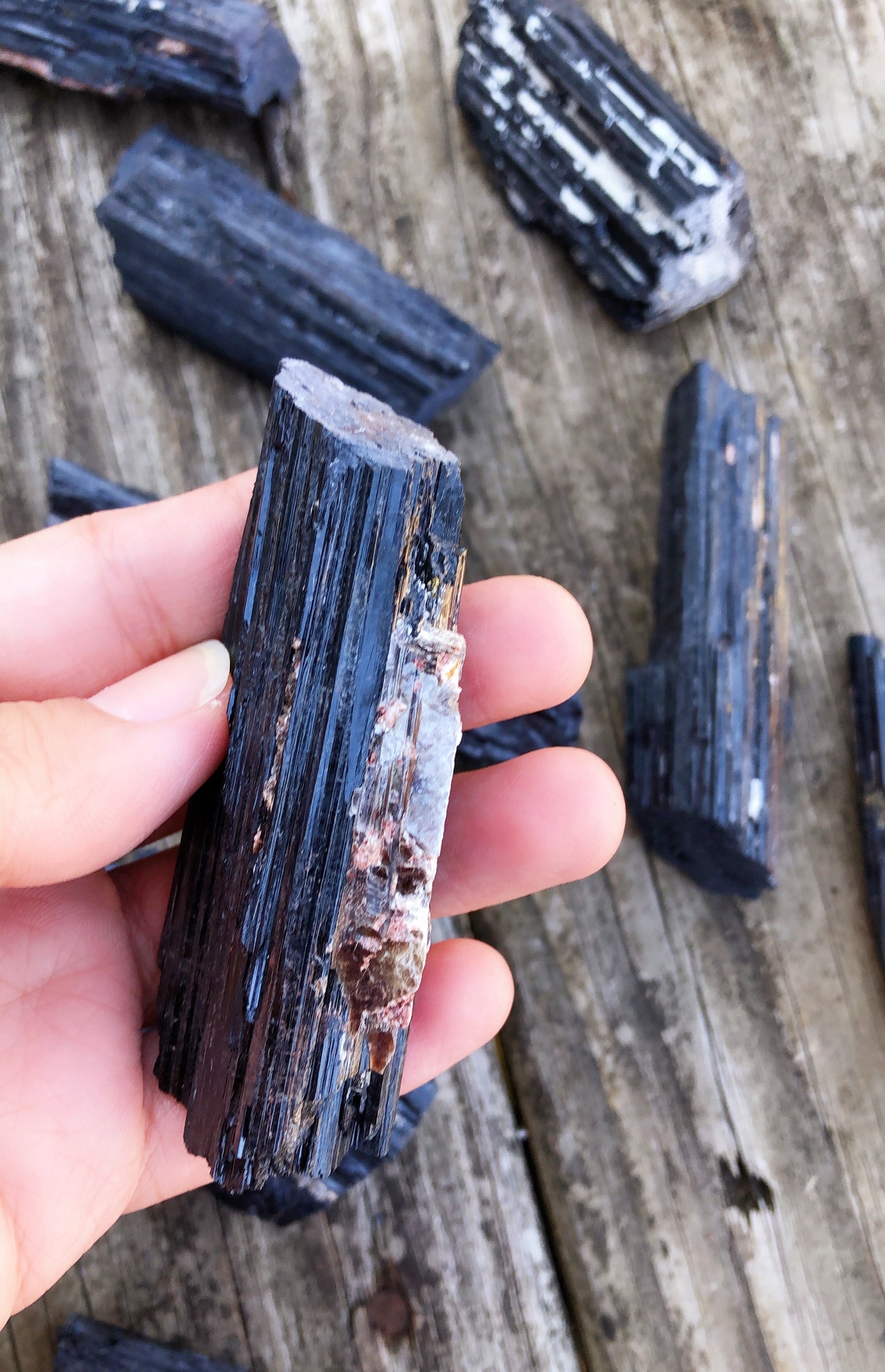 Rough Black Tourmaline Specimens