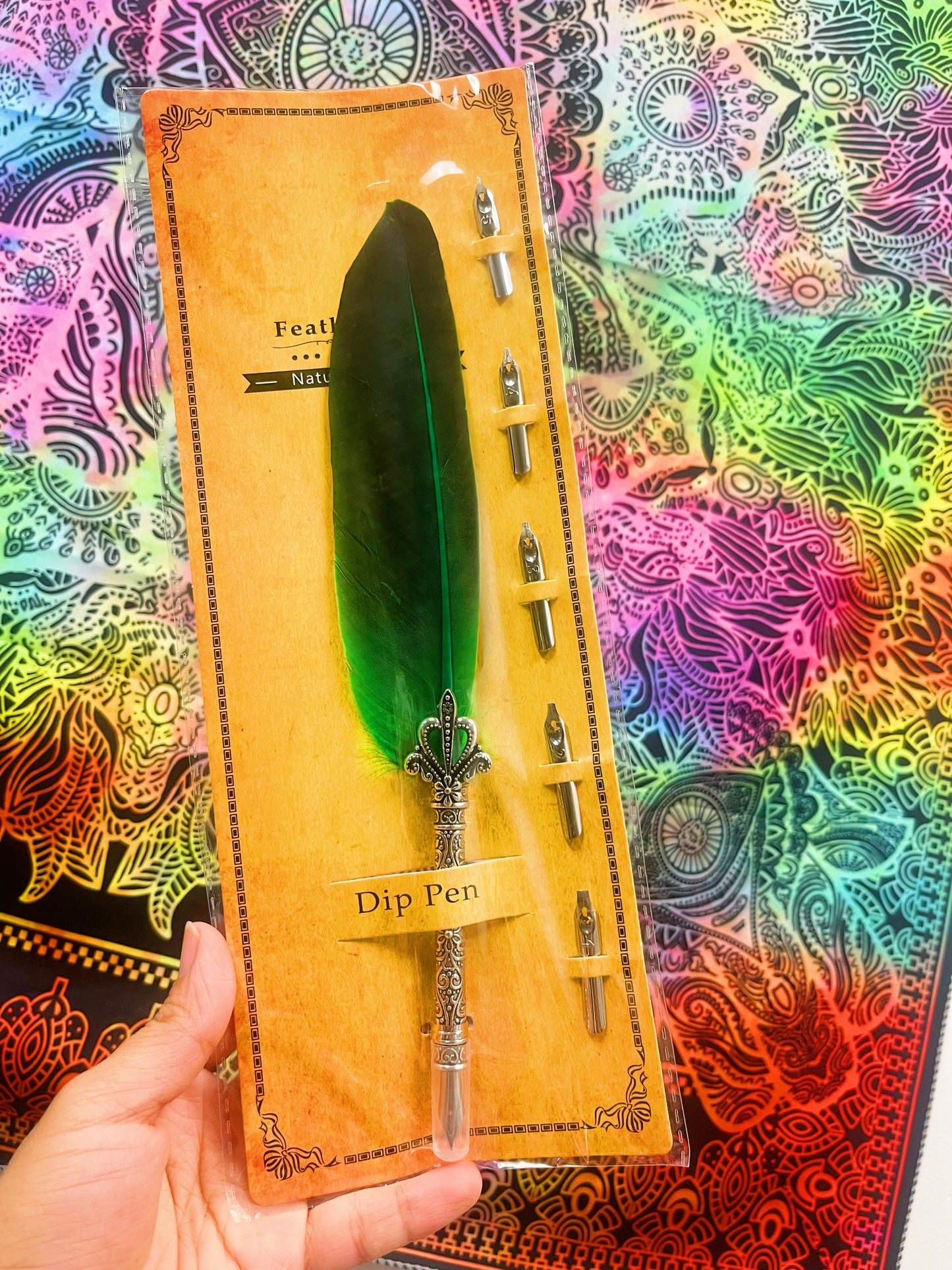 Feather Pen Set with 5 Nibs