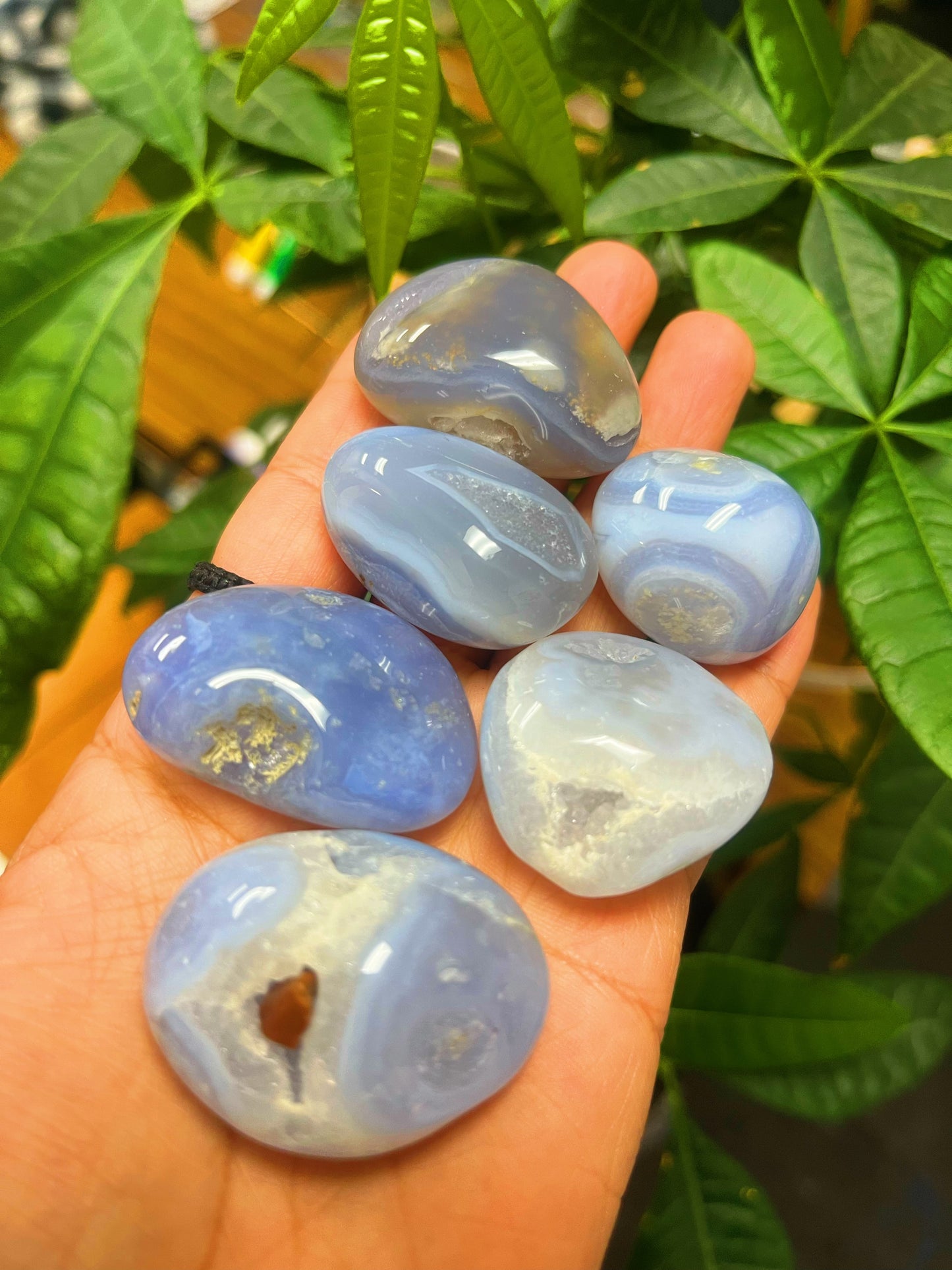 Blue lace Agate Tumbled