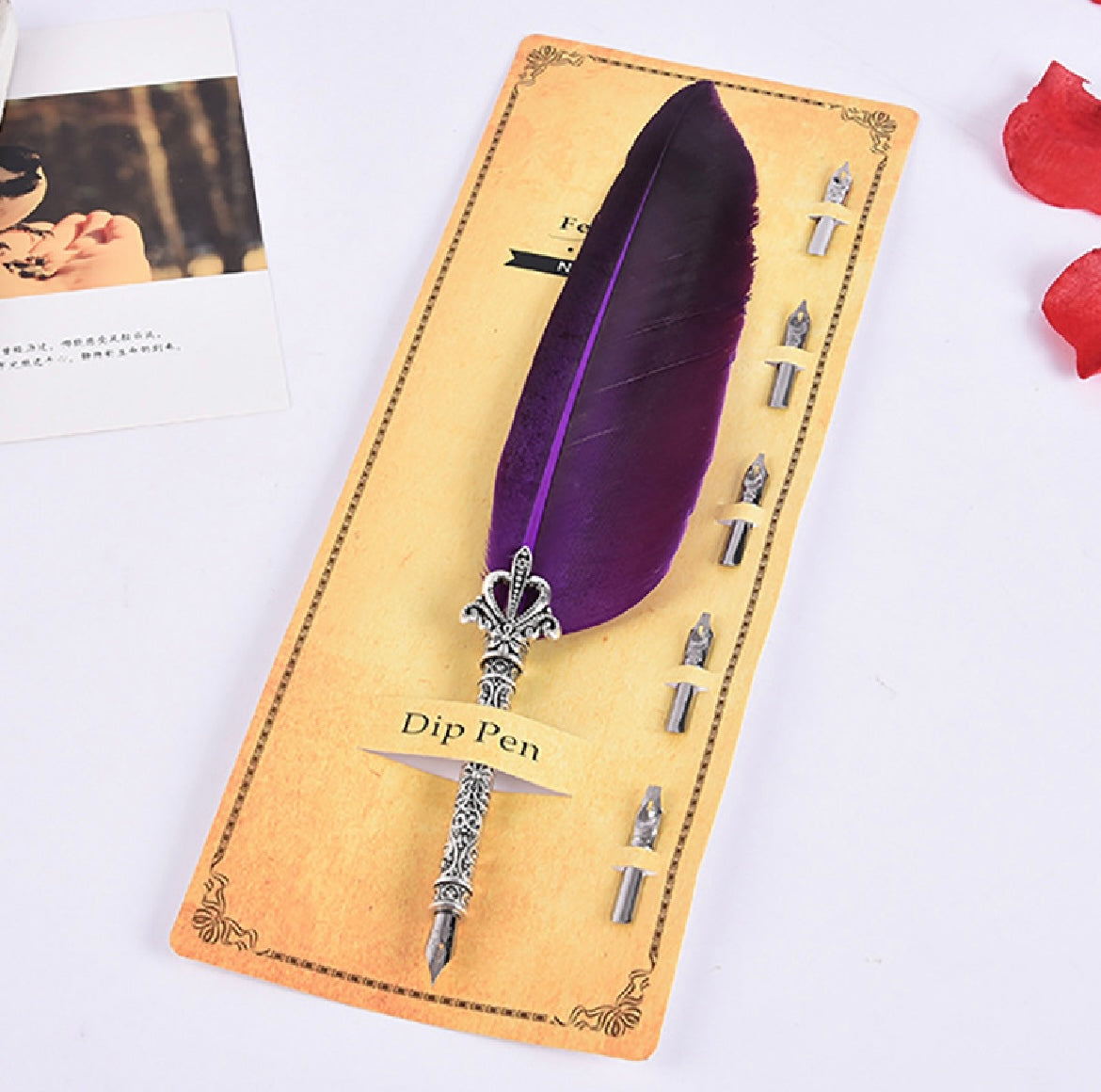 Feather Pen Set with 5 Nibs